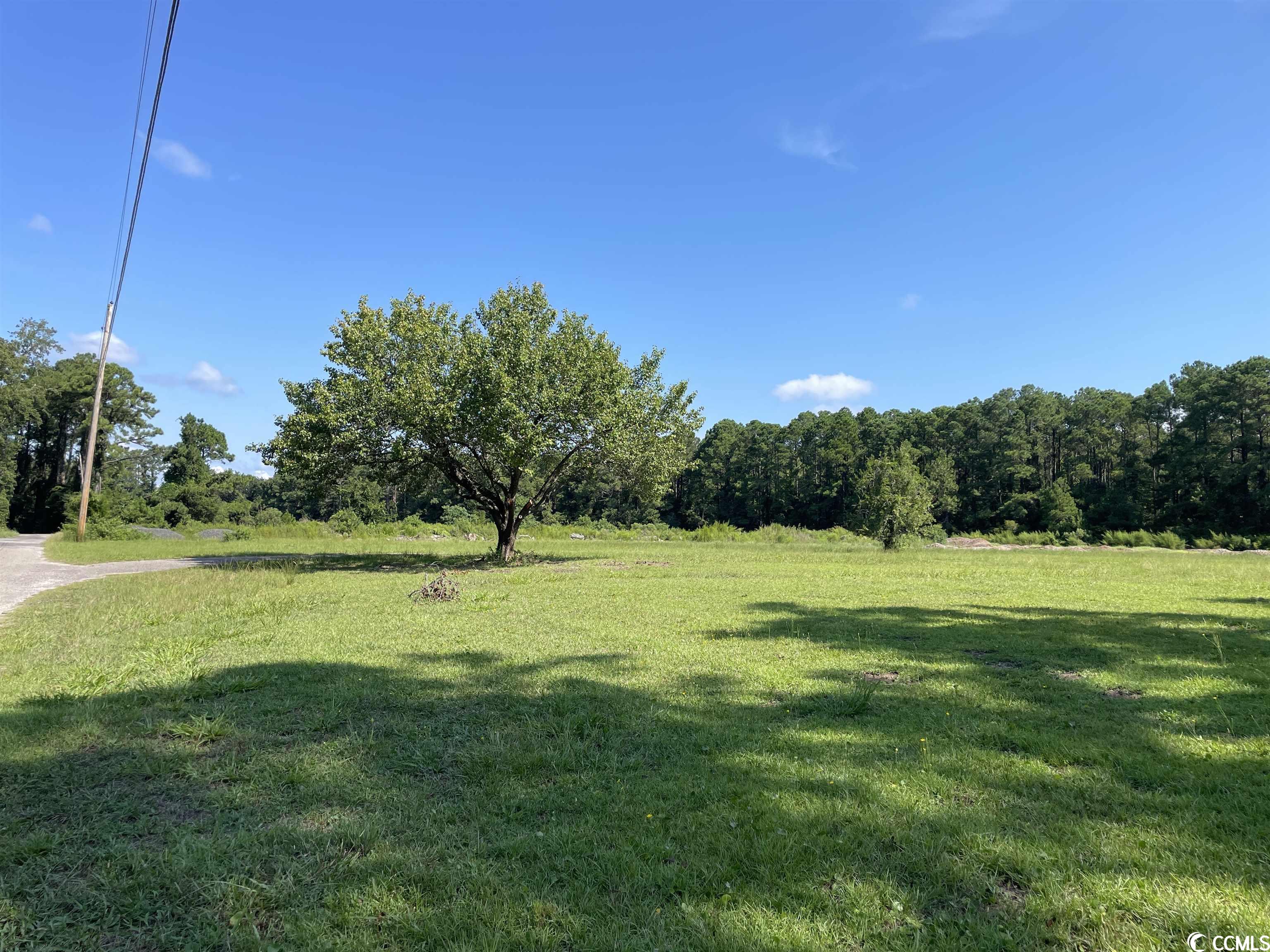 2801 Little River Neck Rd. Property Photo 6