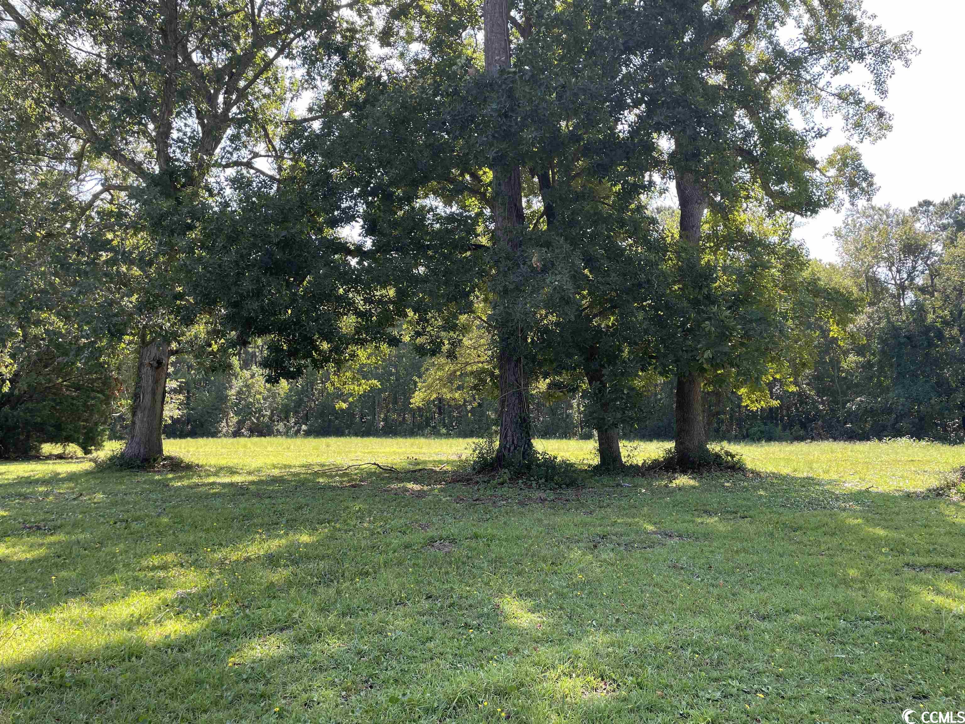 2801 Little River Neck Rd. Property Photo 8