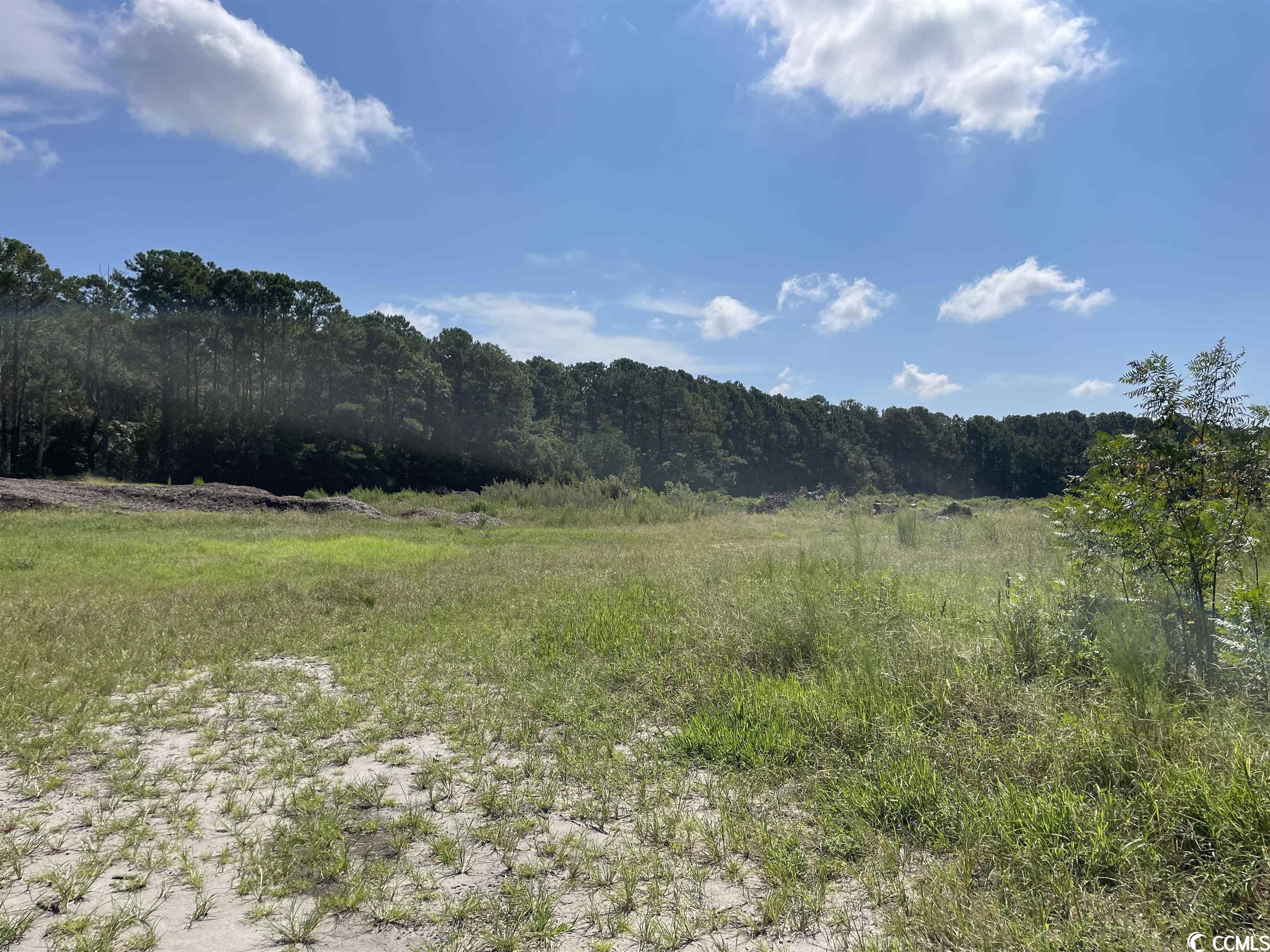 2801 Little River Neck Rd. Property Photo 13