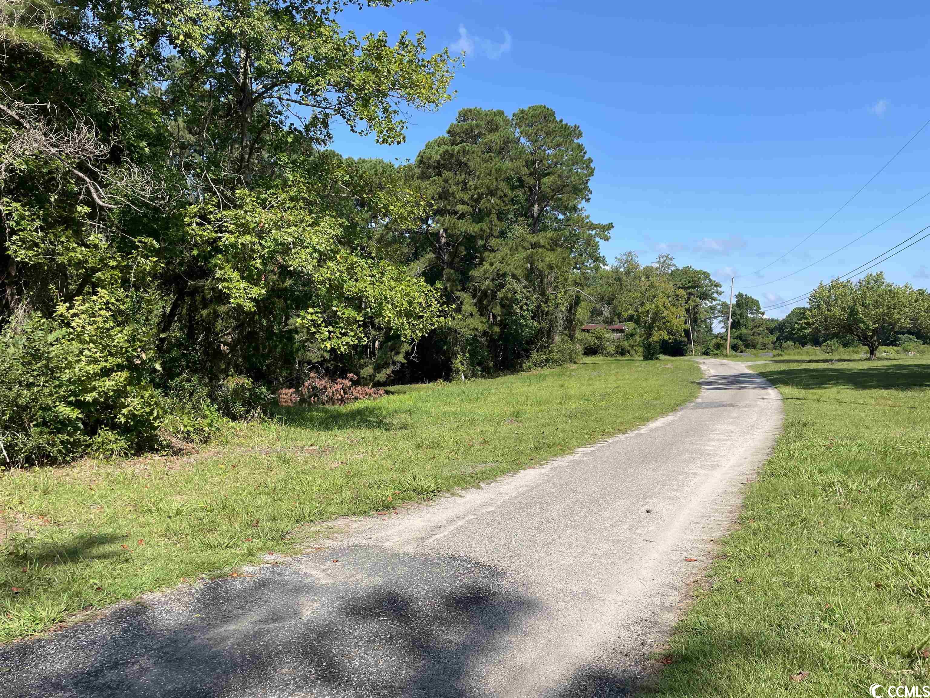 2801 Little River Neck Rd. Property Photo 26
