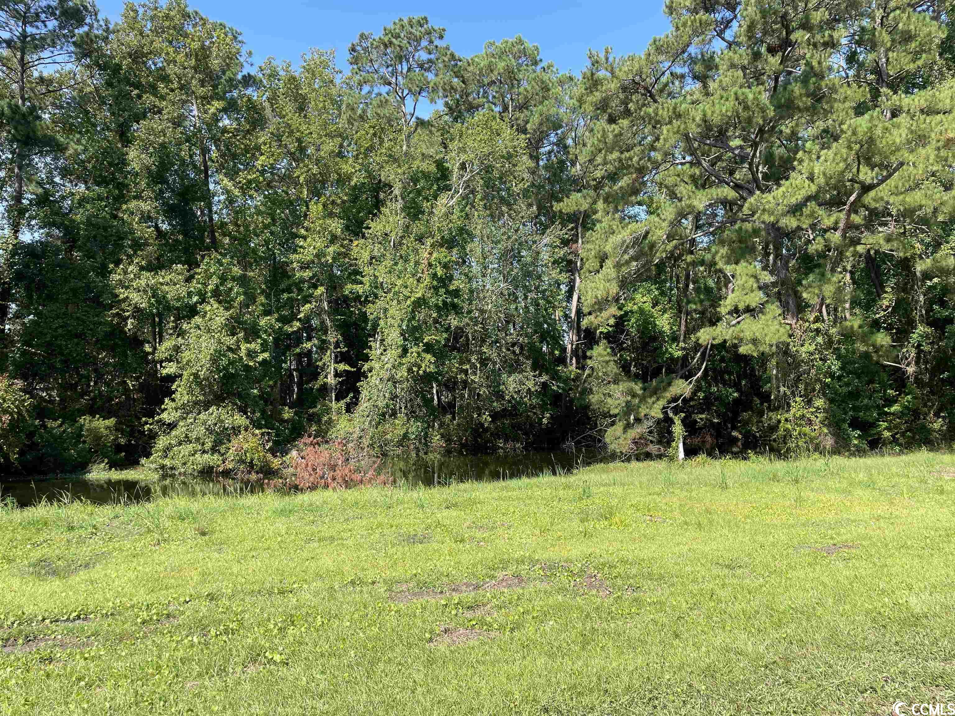 2801 Little River Neck Rd. Property Photo 27