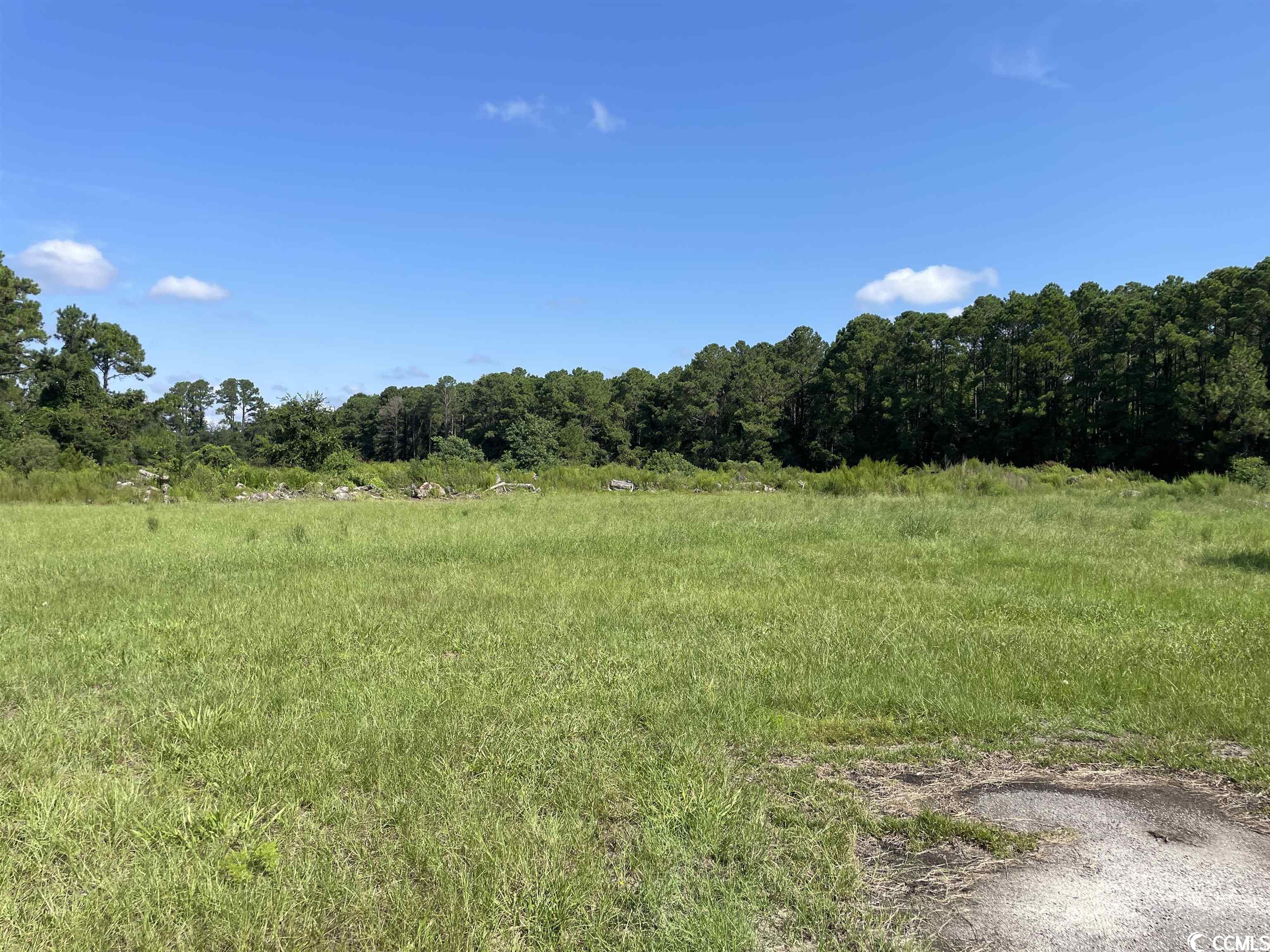 2801 Little River Neck Rd. Property Photo 28