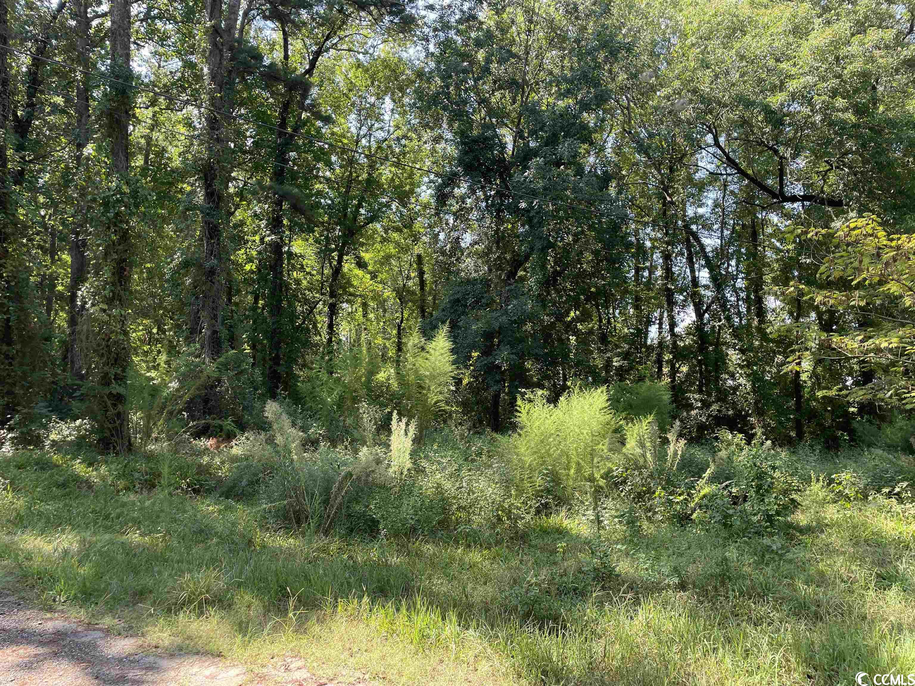 2801 Little River Neck Rd. Property Photo 29