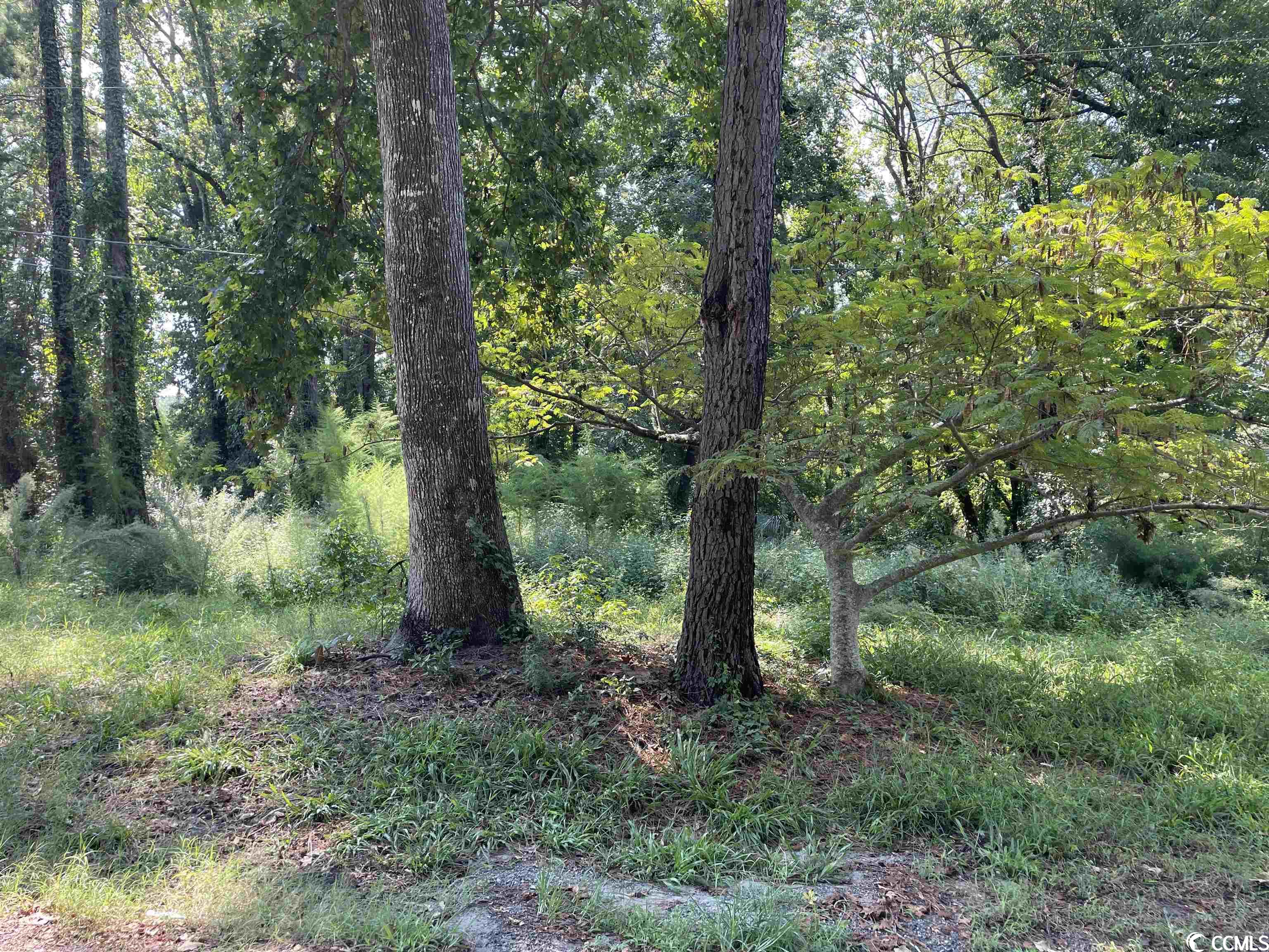 2801 Little River Neck Rd. Property Photo 31