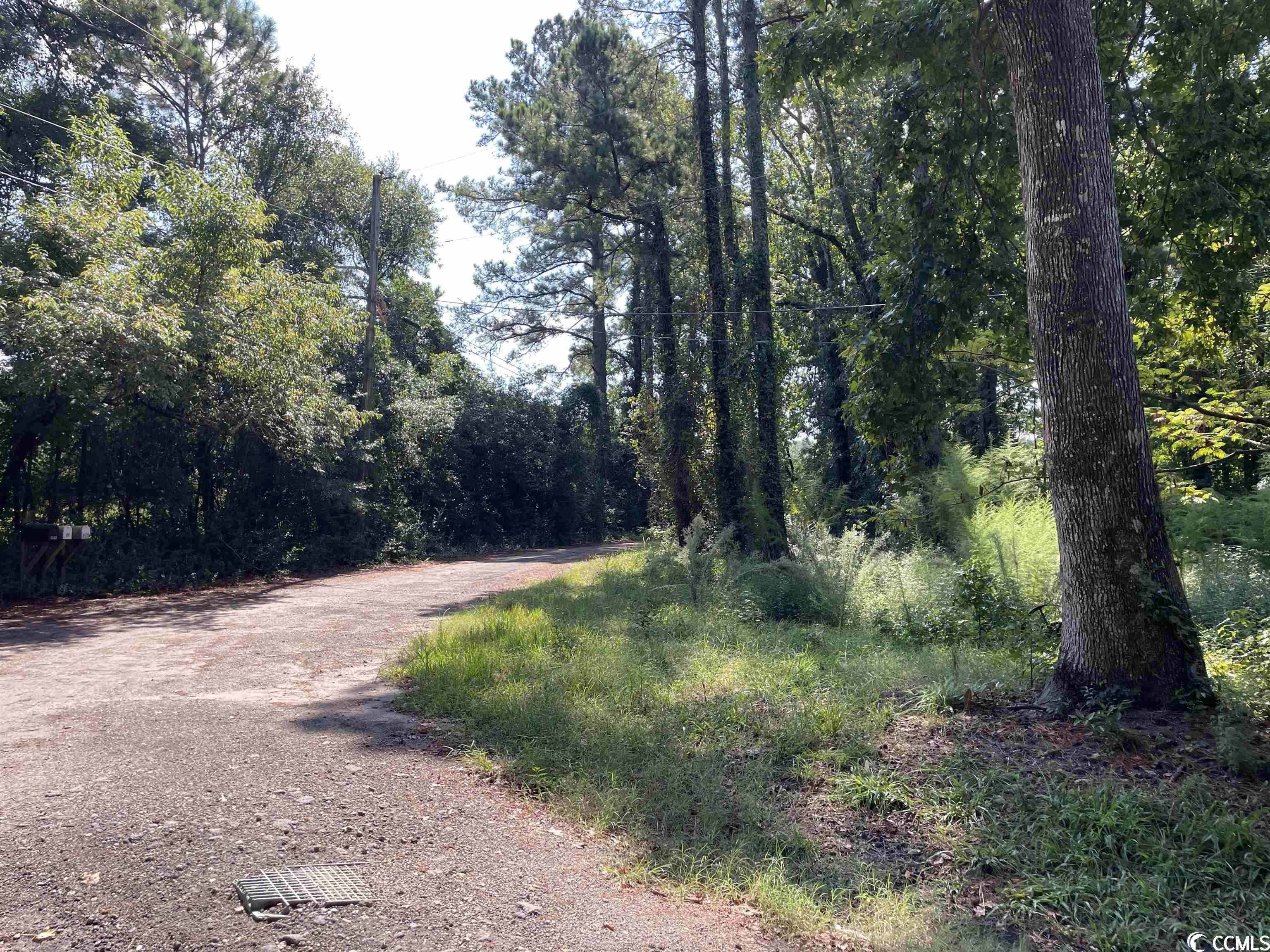 2801 Little River Neck Rd. Property Photo 32