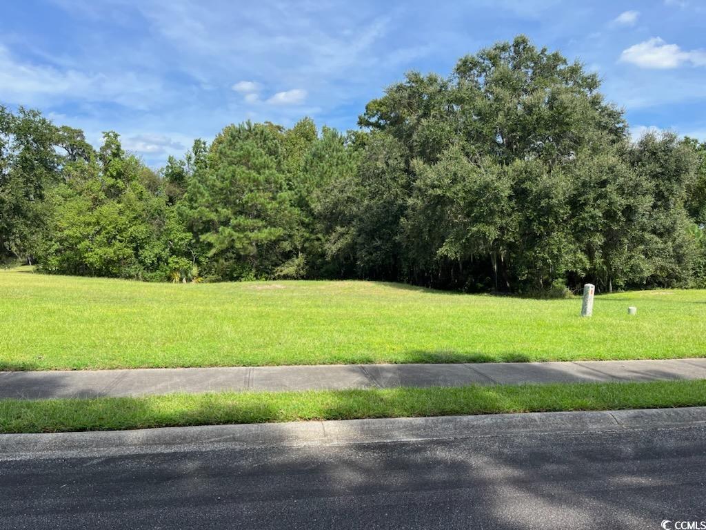Lot 109 Rosebank Rd. Property Photo 1