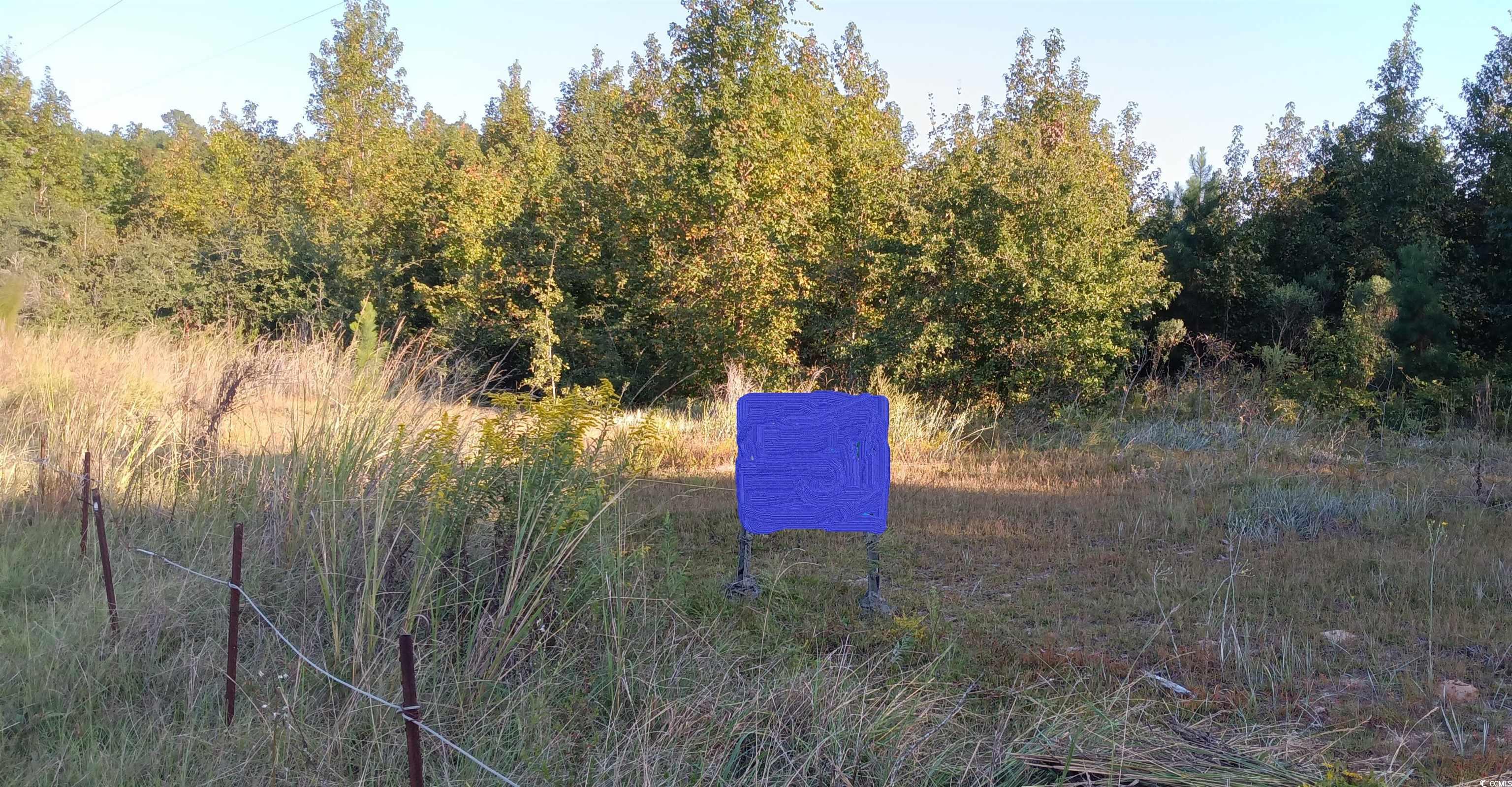 Tbd Guyton Ct. Property Photo 1