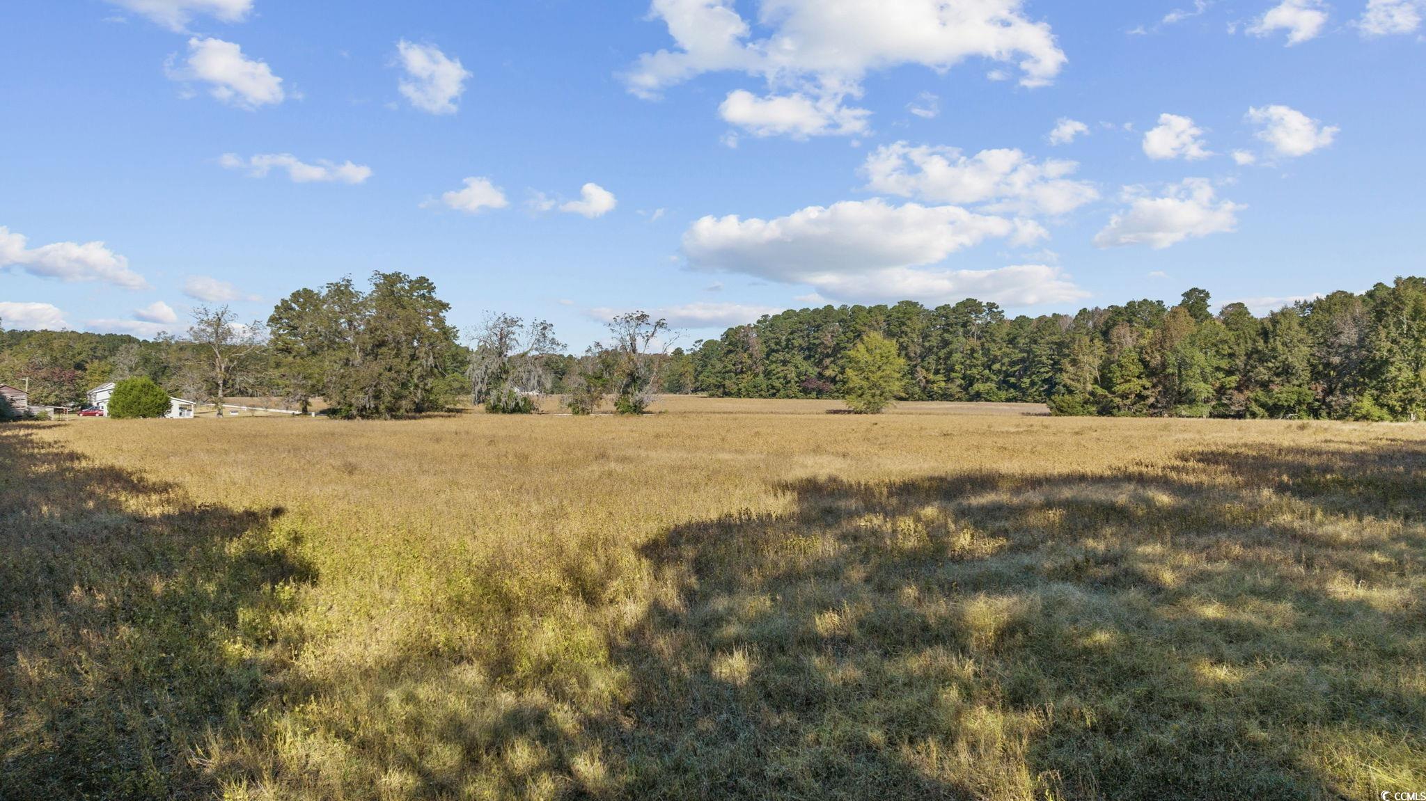 0000 Highway 701 South Property Photo 11