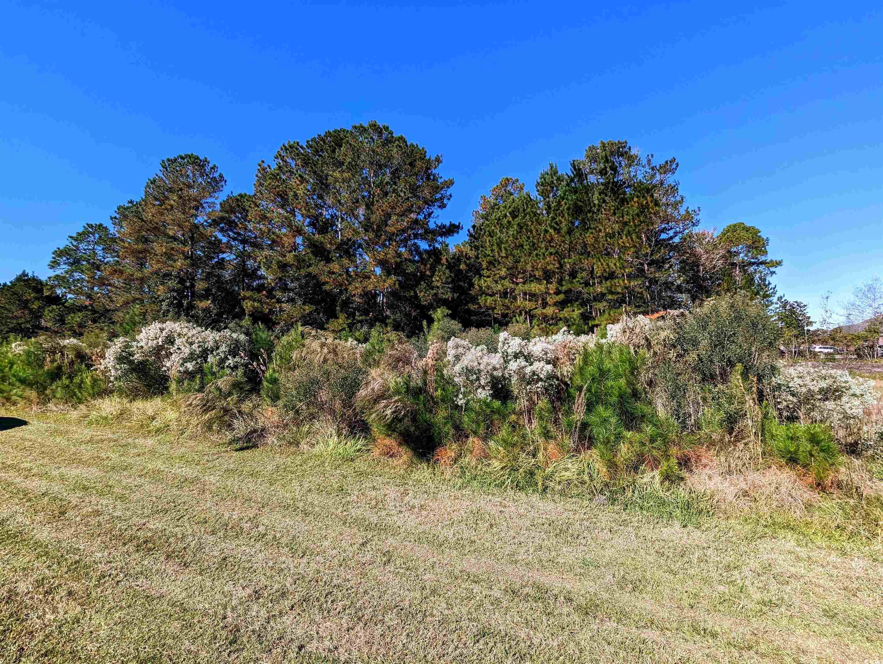 3028 New Castle Loop Property Photo 1