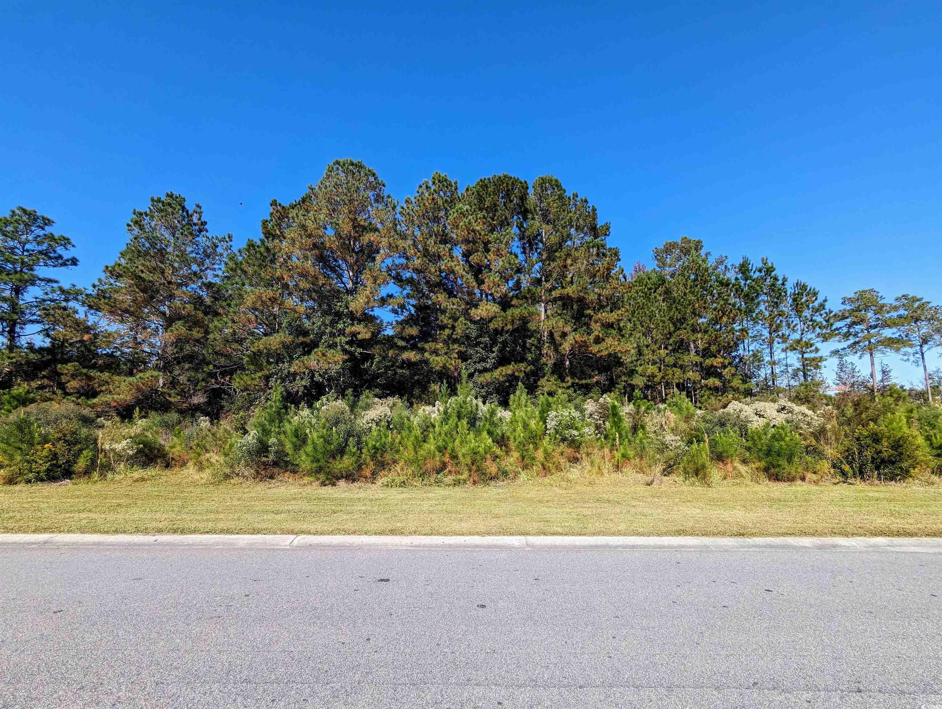 3028 New Castle Loop Property Photo 2