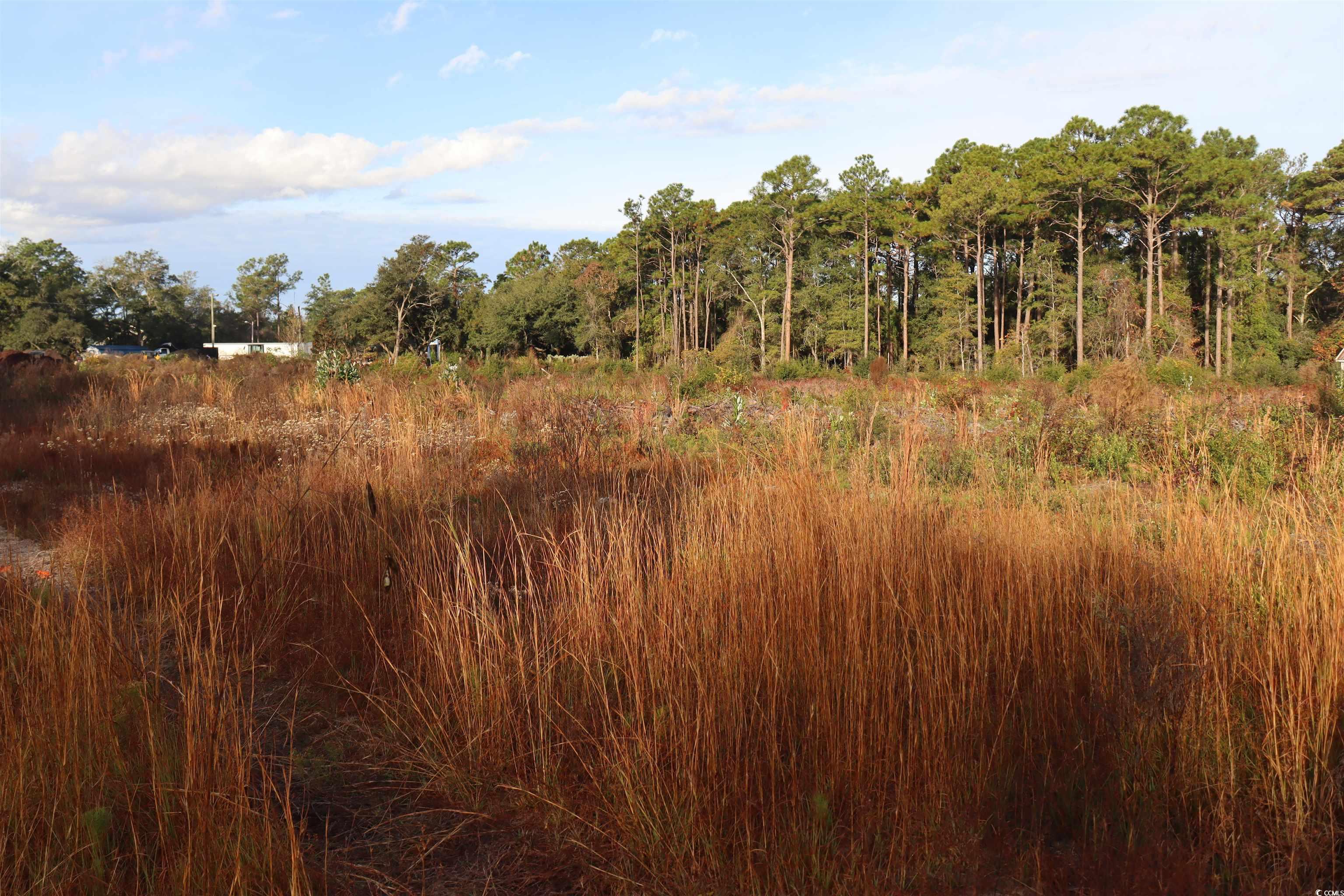 7765 Ocean Hwy. Property Photo 1
