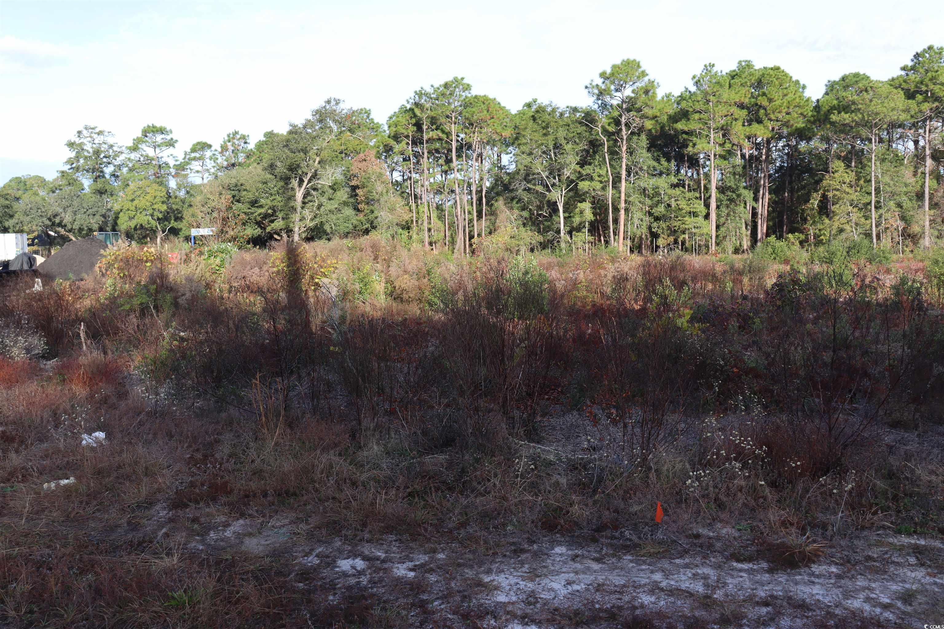 7765 Ocean Hwy. Property Photo 5