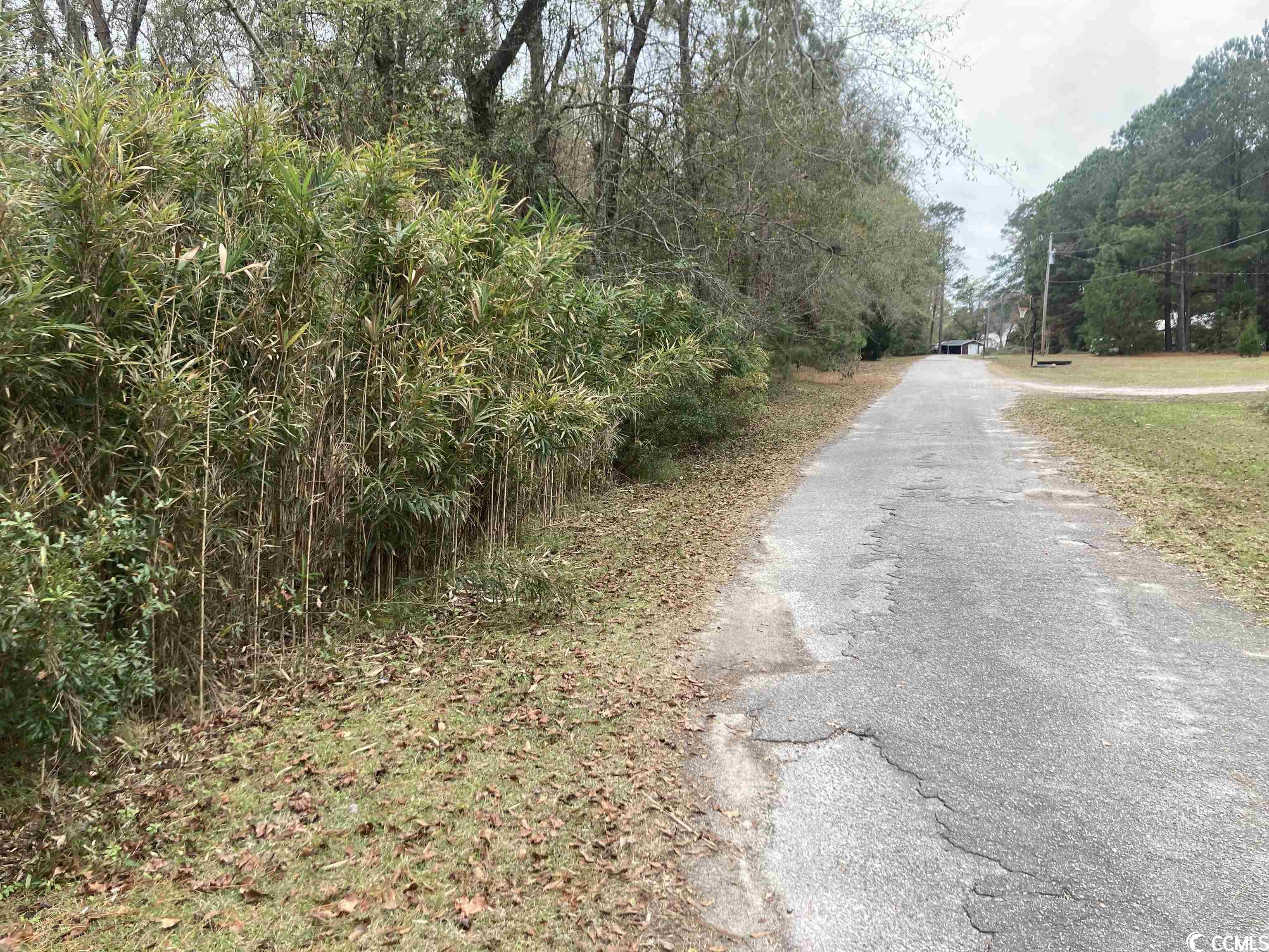 Tbd Persimmon Ford Rd. Property Photo 2