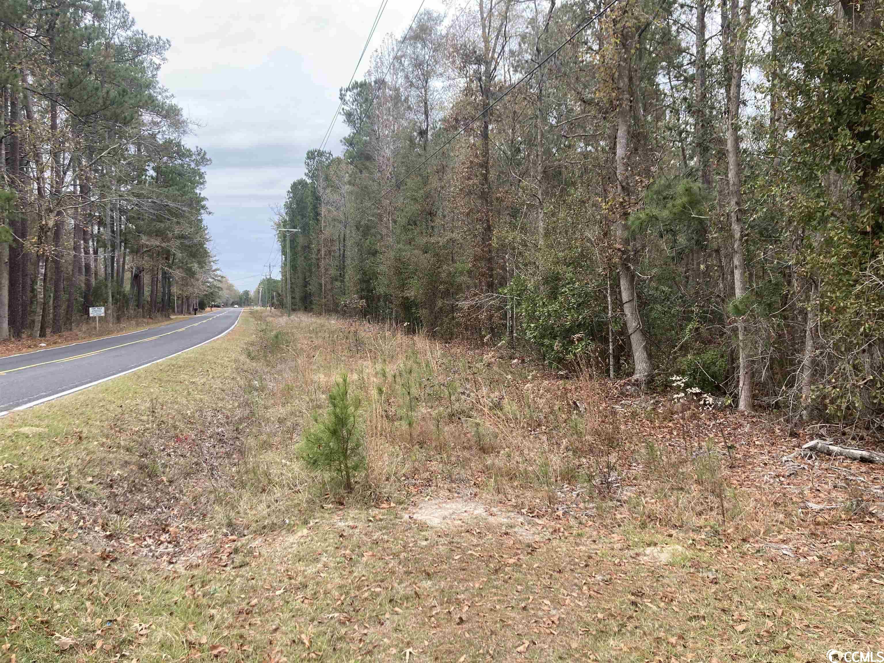 Tbd Persimmon Ford Rd. Property Photo 3