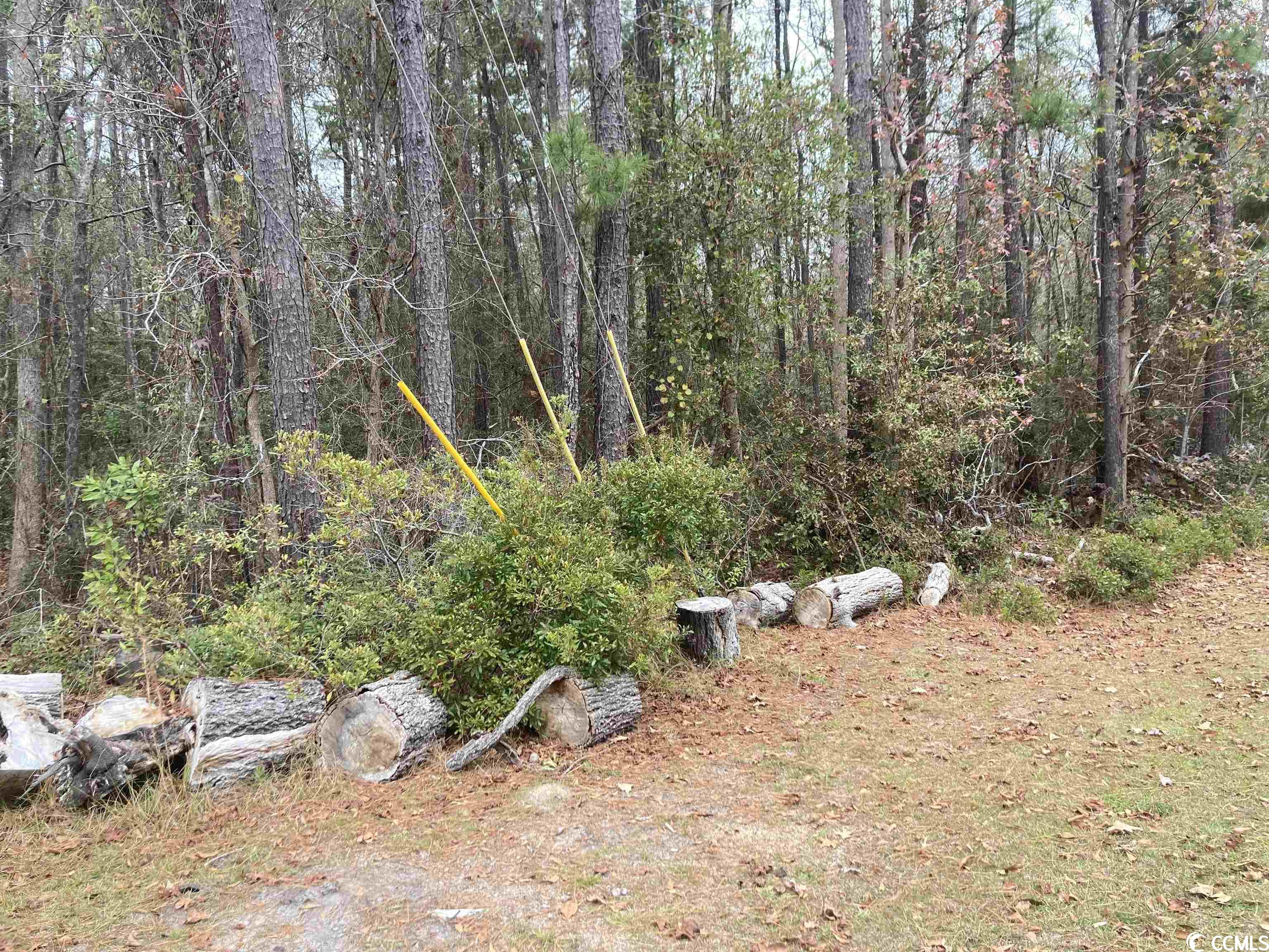 Tbd Persimmon Ford Rd. Property Photo 4
