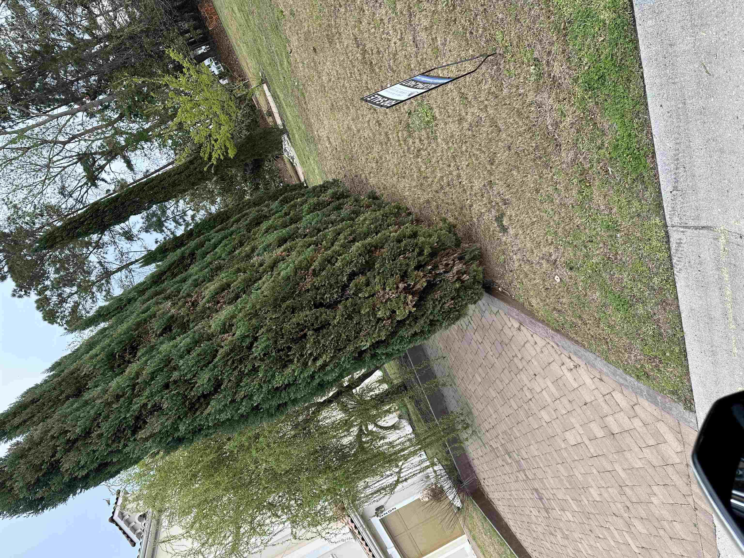 2204 Via Palma Dr. Property Photo 3