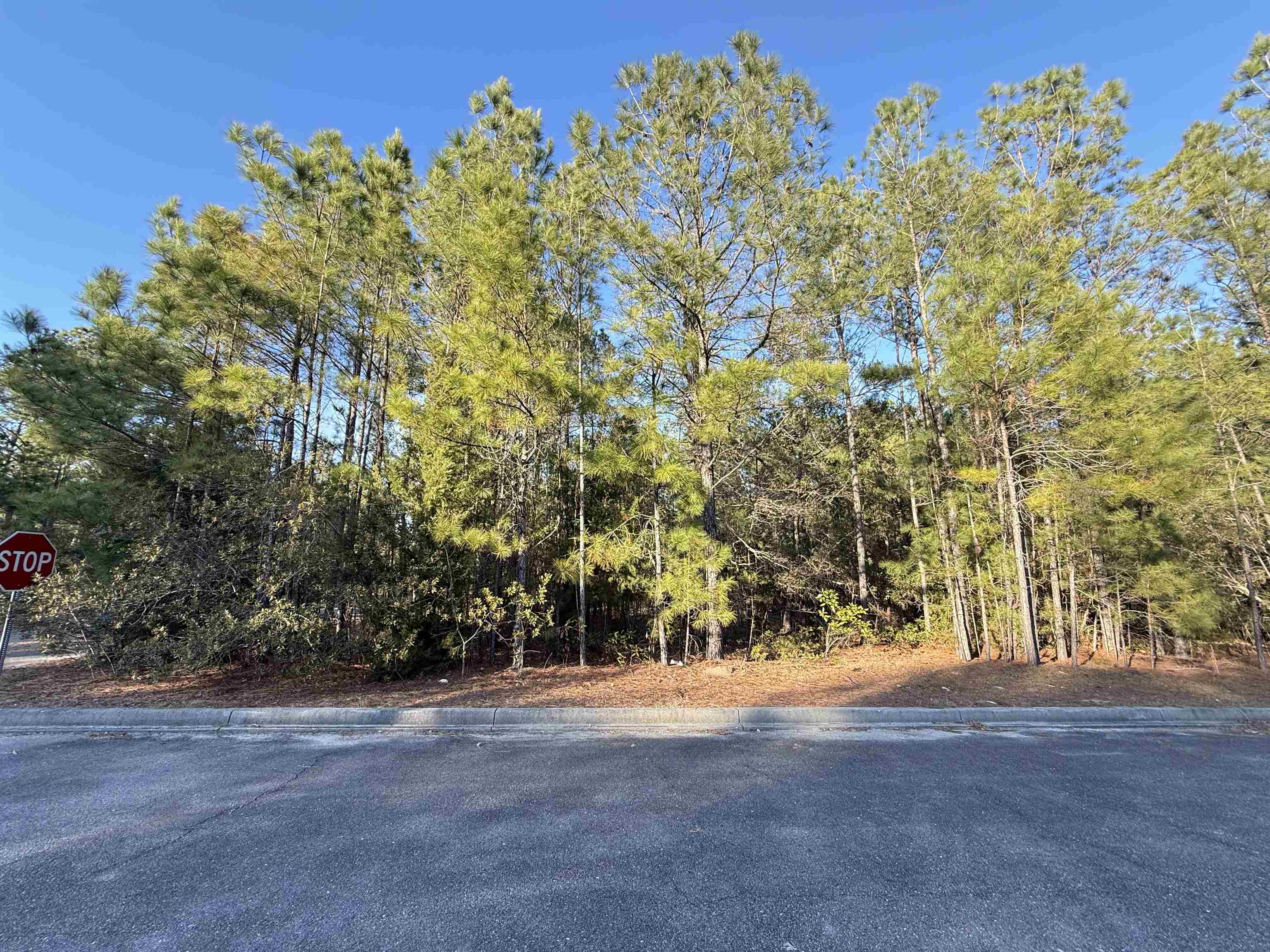 153 Bridge View Rd. Property Photo 1