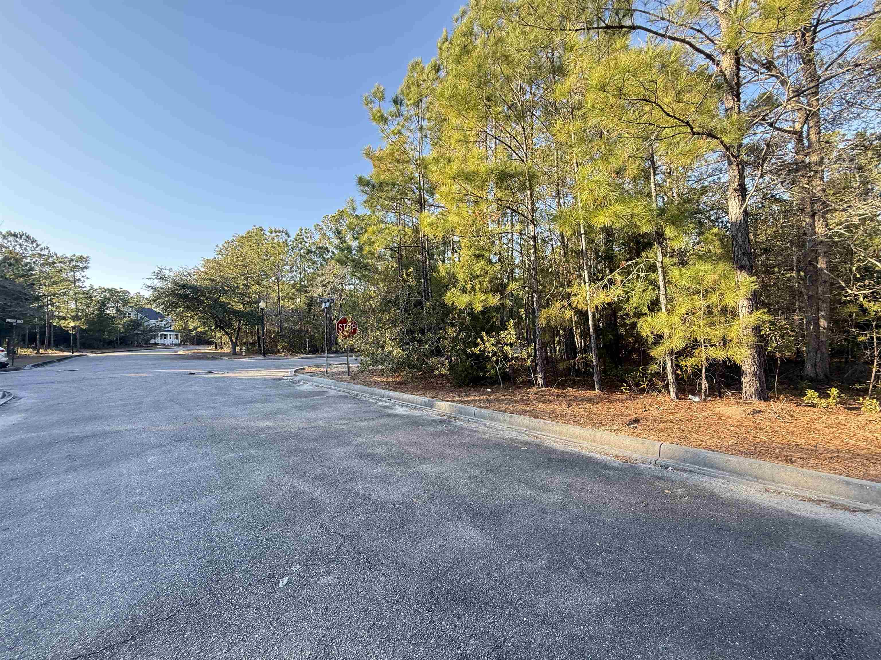 153 Bridge View Rd. Property Photo 3