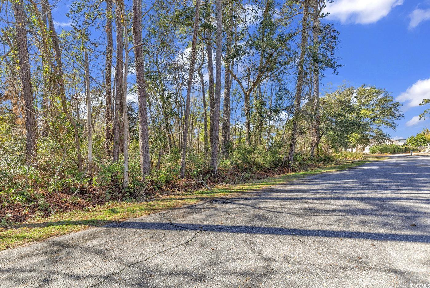 Tbd Gray Man's Loop Property Photo 2