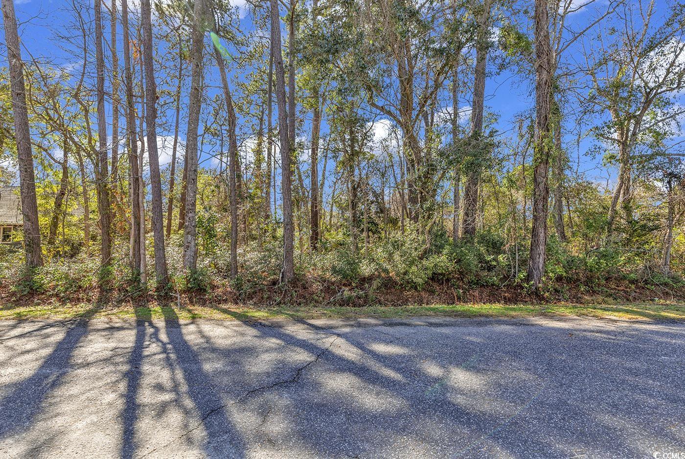 Tbd Gray Man's Loop Property Photo 3