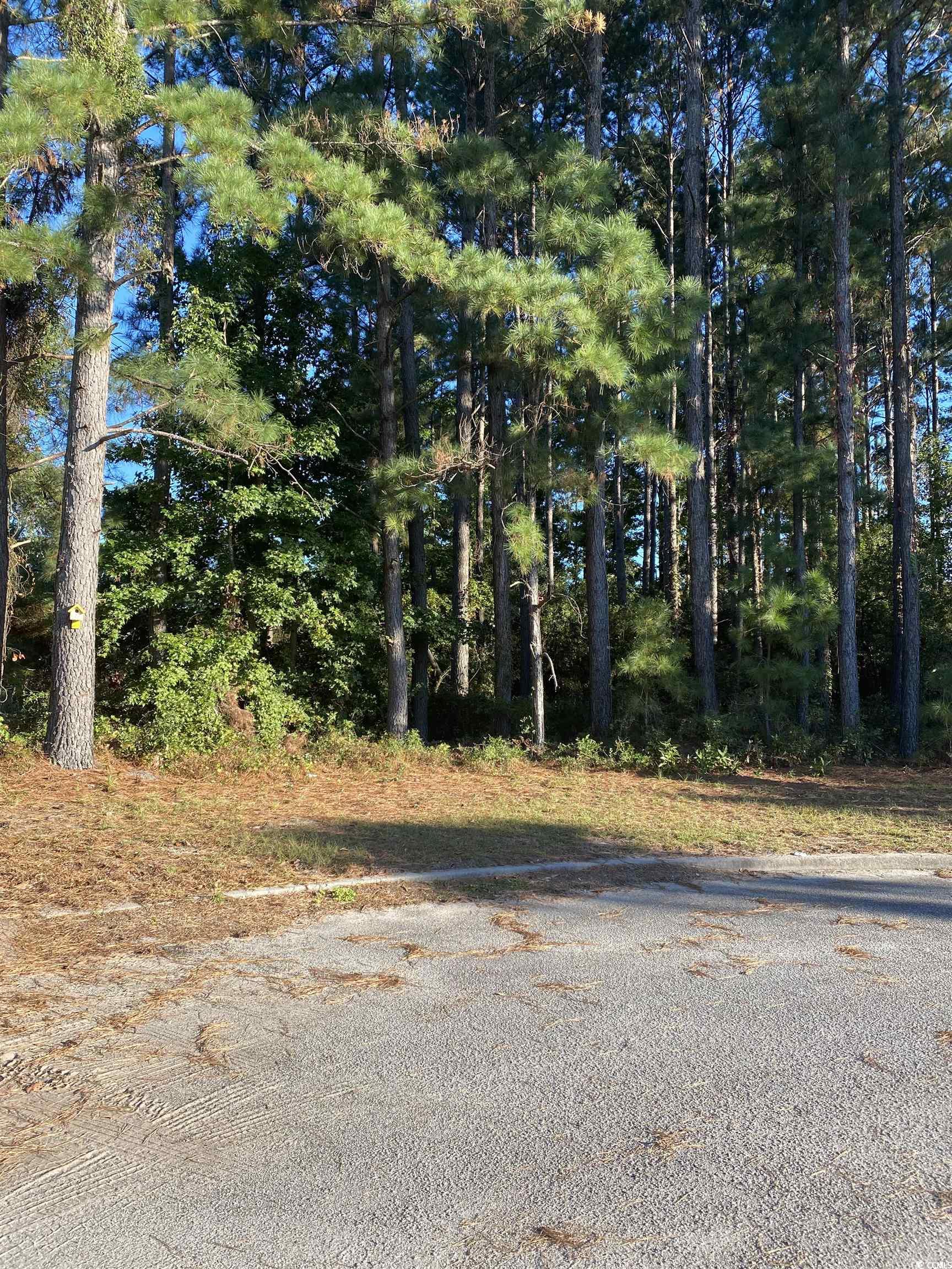 114 Finnegan Ct.