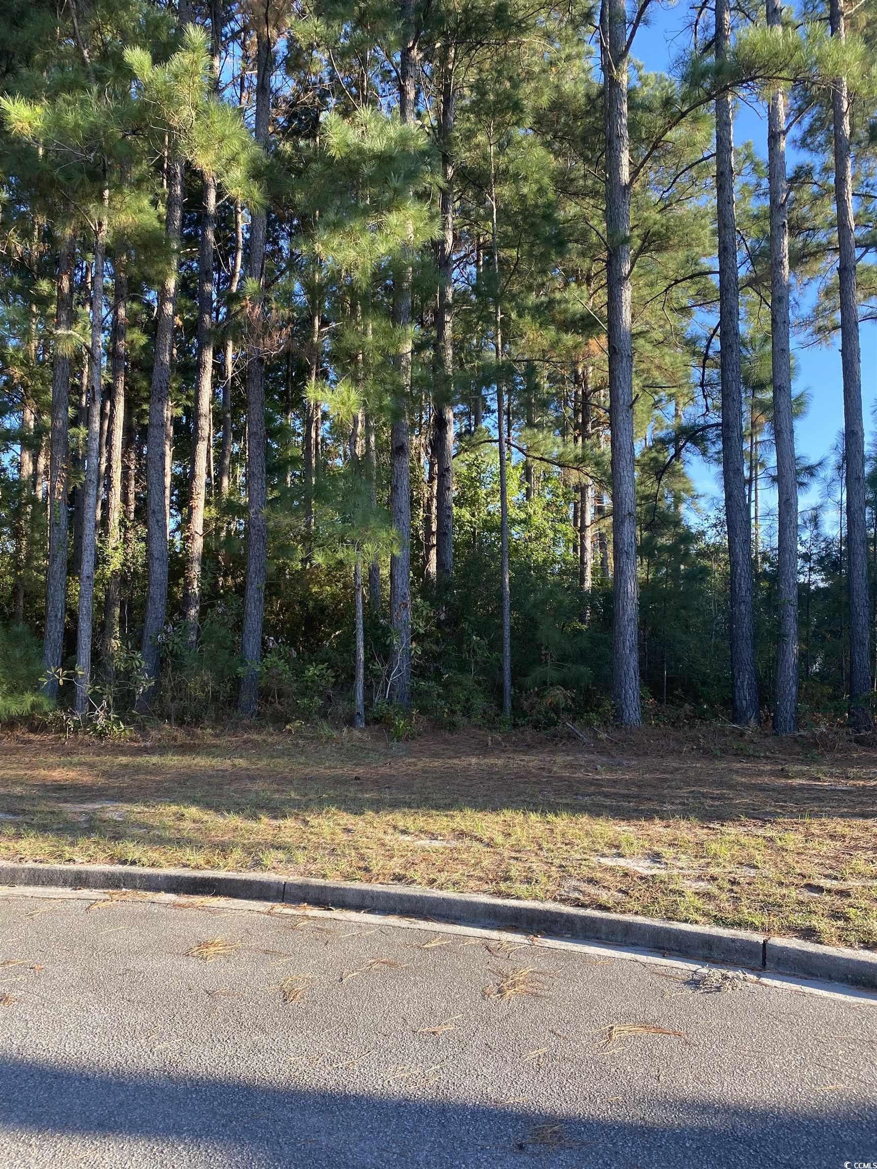 114 Finnegan Ct. Property Photo 3