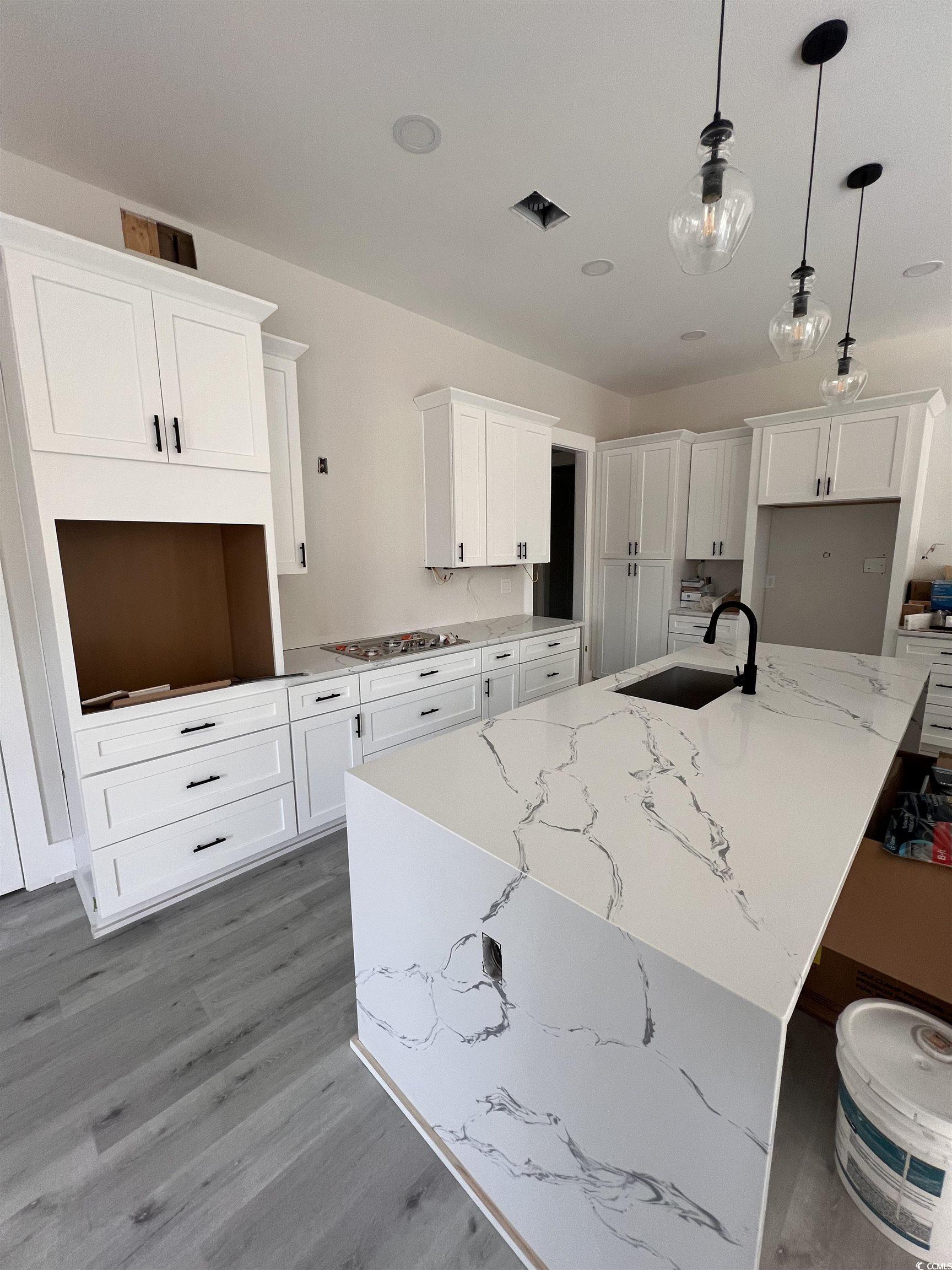 2205 Yellow Morel Way Property Photo 4