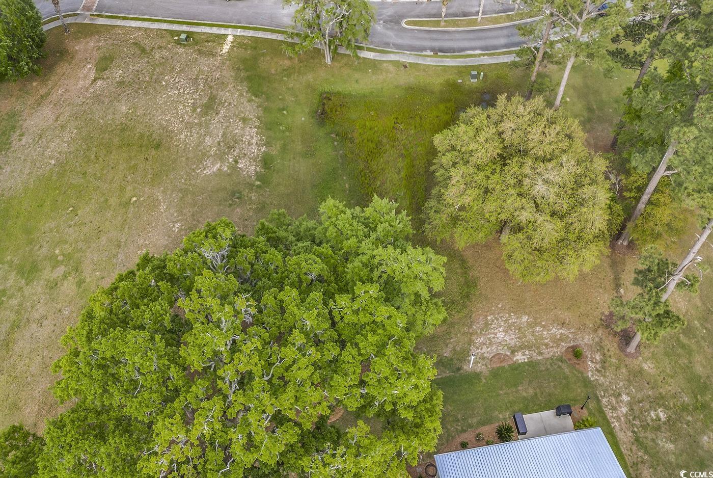Lot 81 Rosebank Rd. Property Photo 4