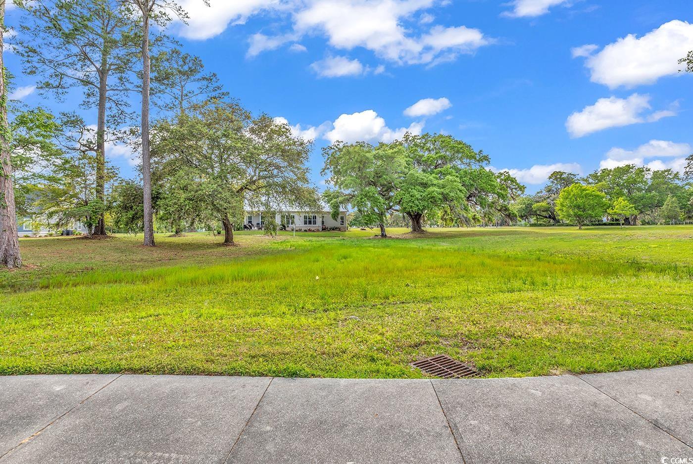 Lot 81 Rosebank Rd. Property Photo 6