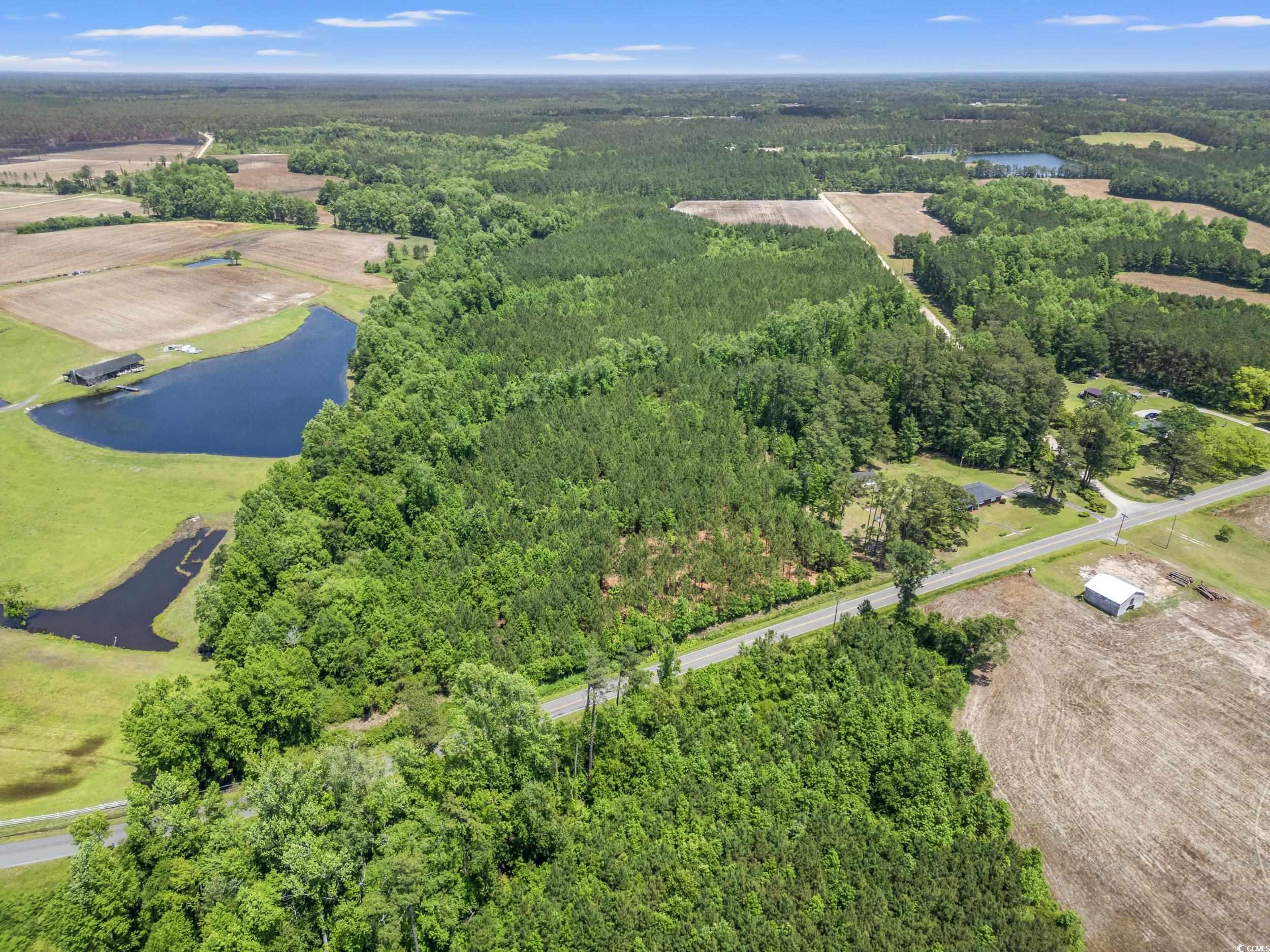 Tbd Daisy Rd. Property Photo 5