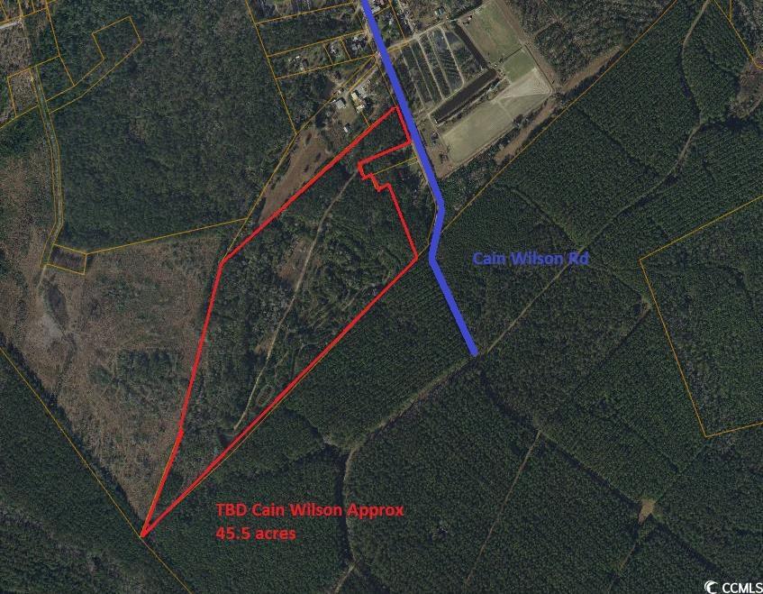 Tbd Cain Wilson Rd. Property Photo 1