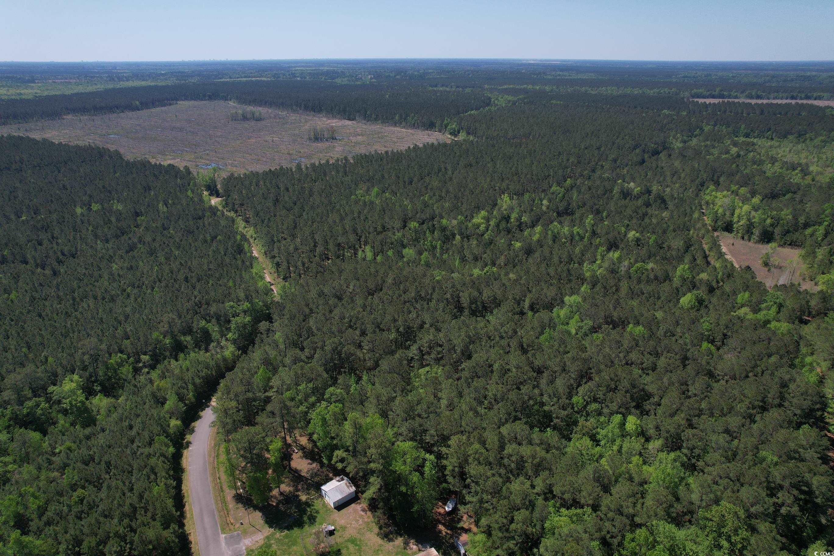 Tbd Cain Wilson Rd. Property Photo 11