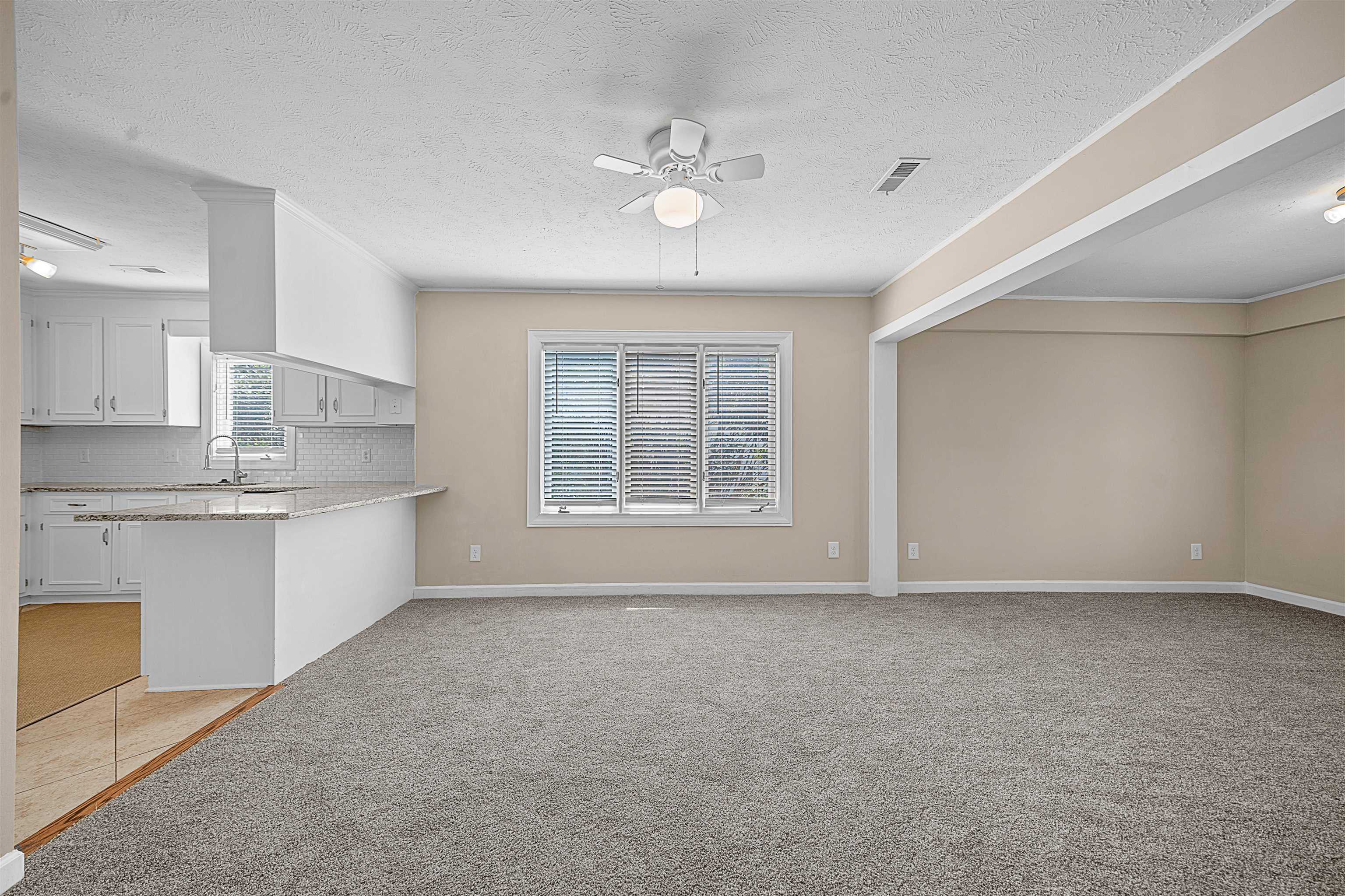 3814 Palmetto Dr. Property Photo 6