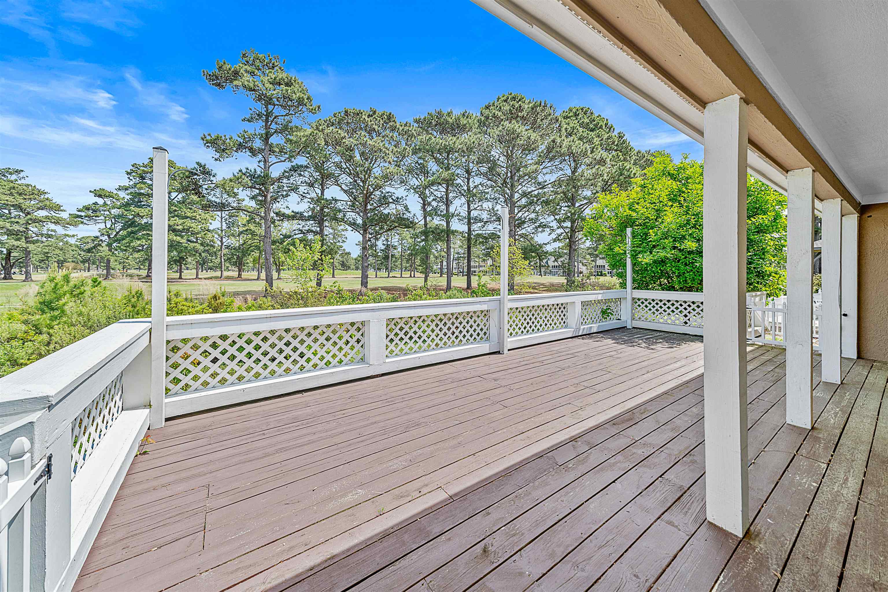 3814 Palmetto Dr. Property Photo 37