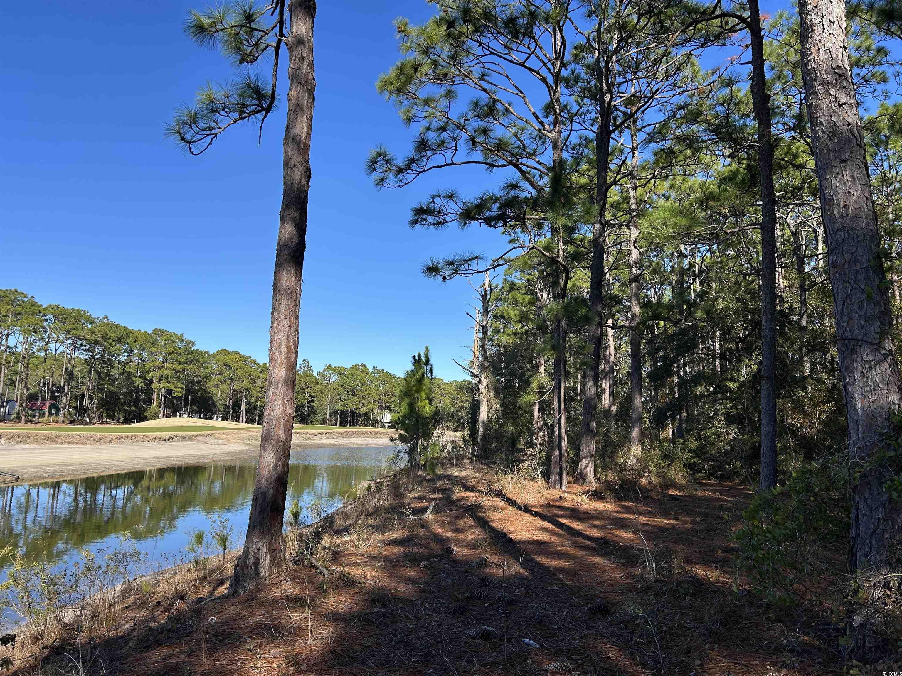 8000 Ocean Highway Property Photo 4