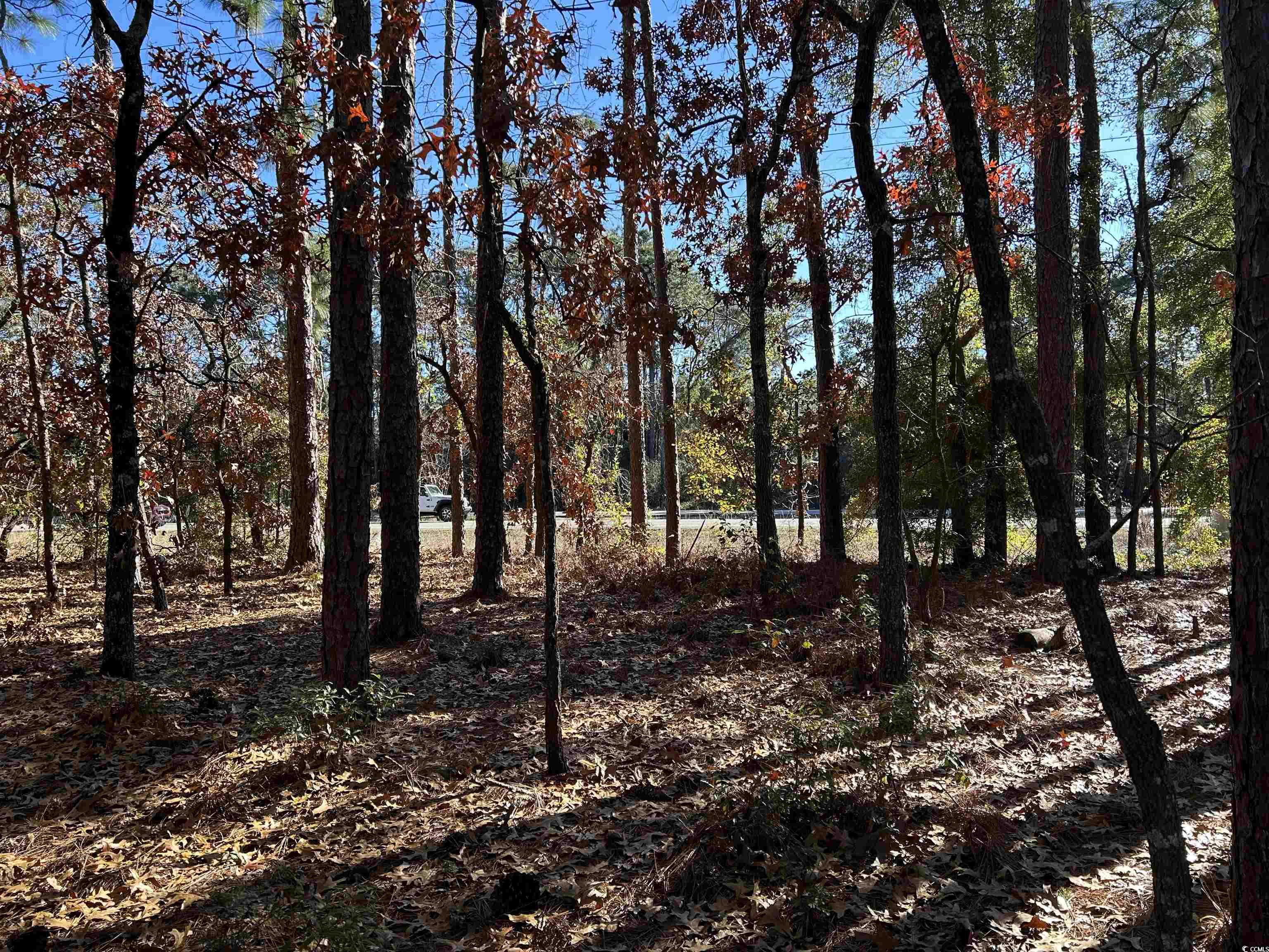 8000 Ocean Highway Property Photo 19