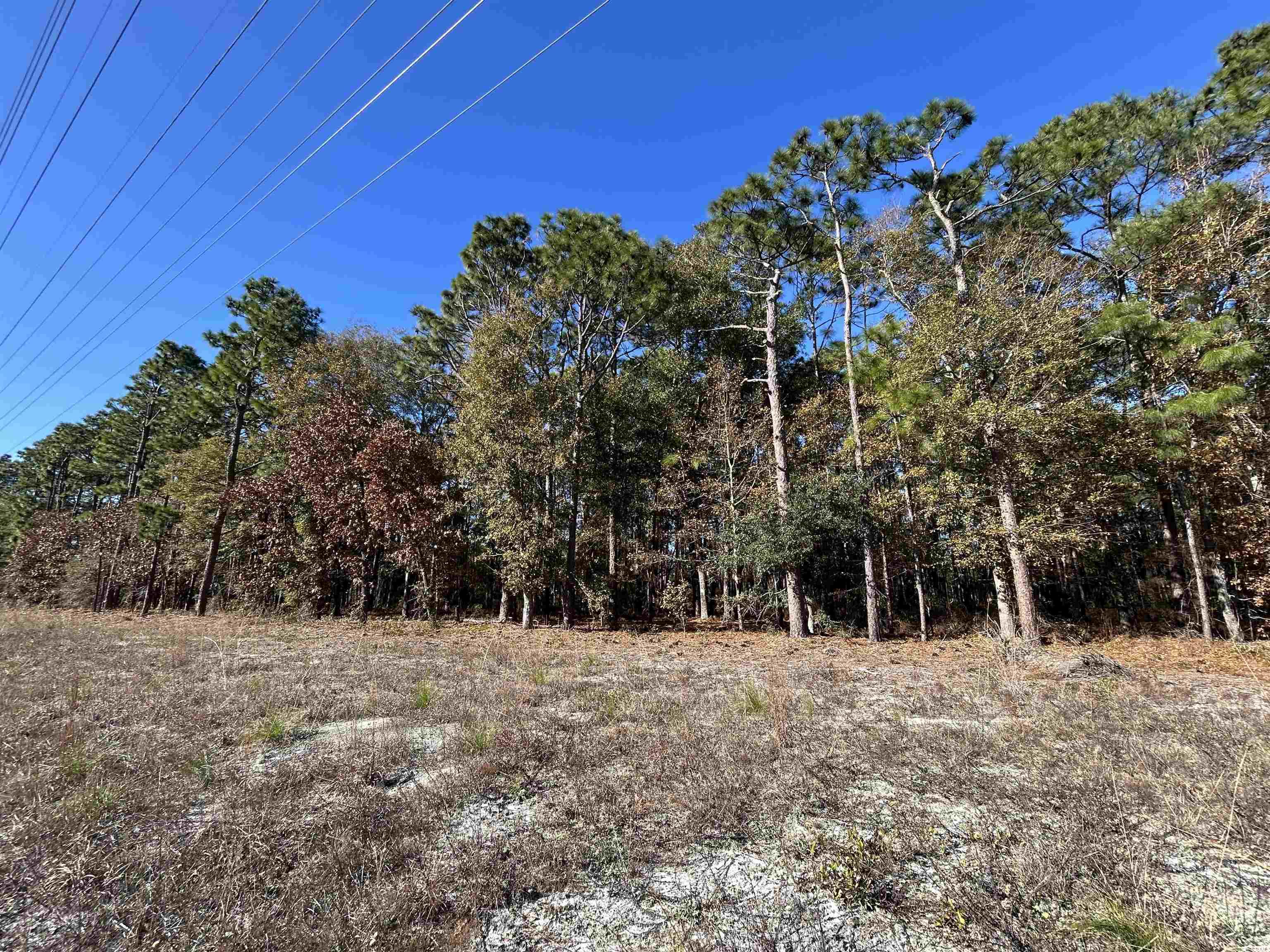 8000 Ocean Highway Property Photo 23
