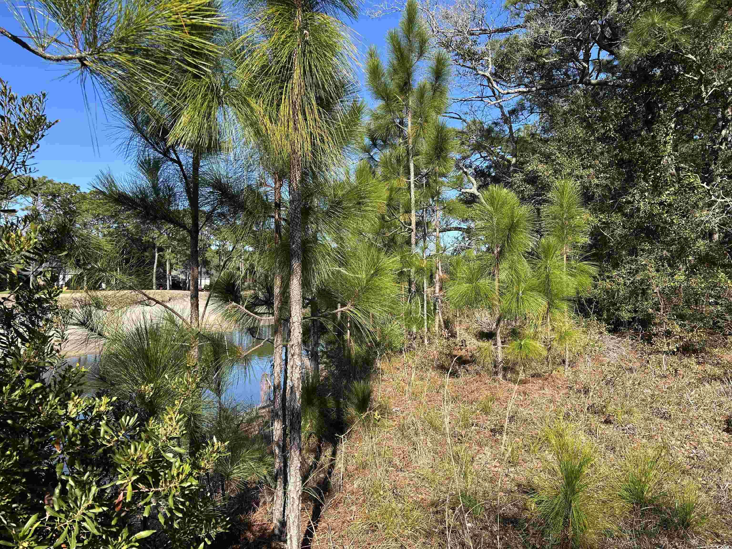 8000 Ocean Highway Property Photo 32