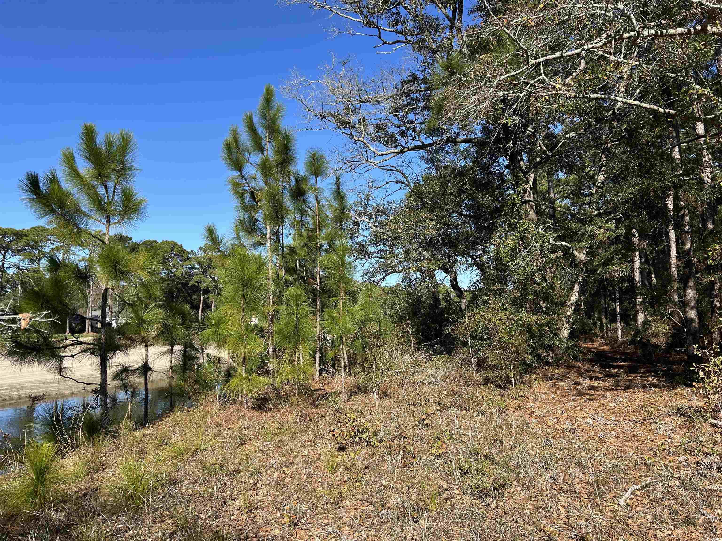 8000 Ocean Highway Property Photo 33