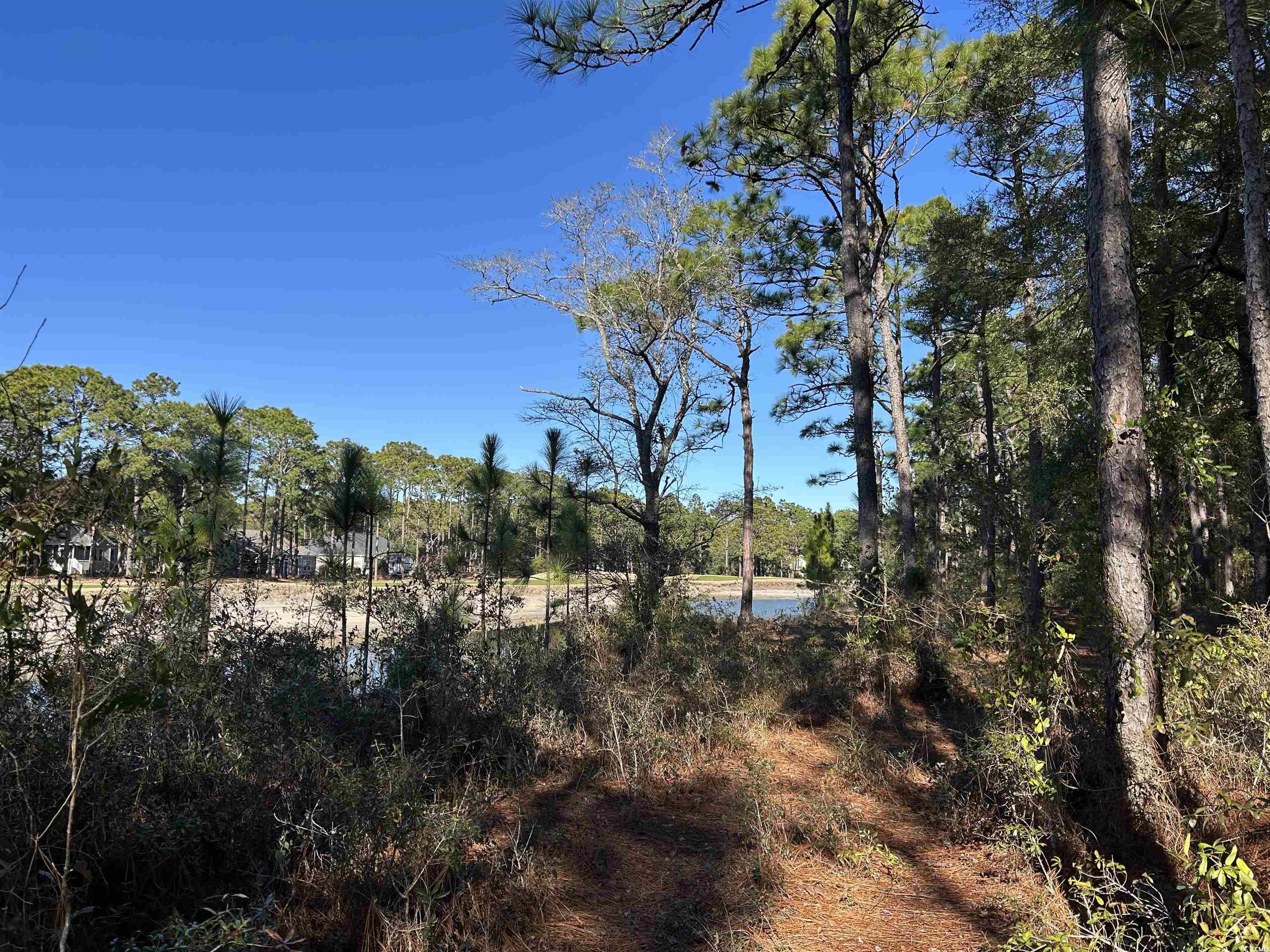8000 Ocean Highway Property Photo 34