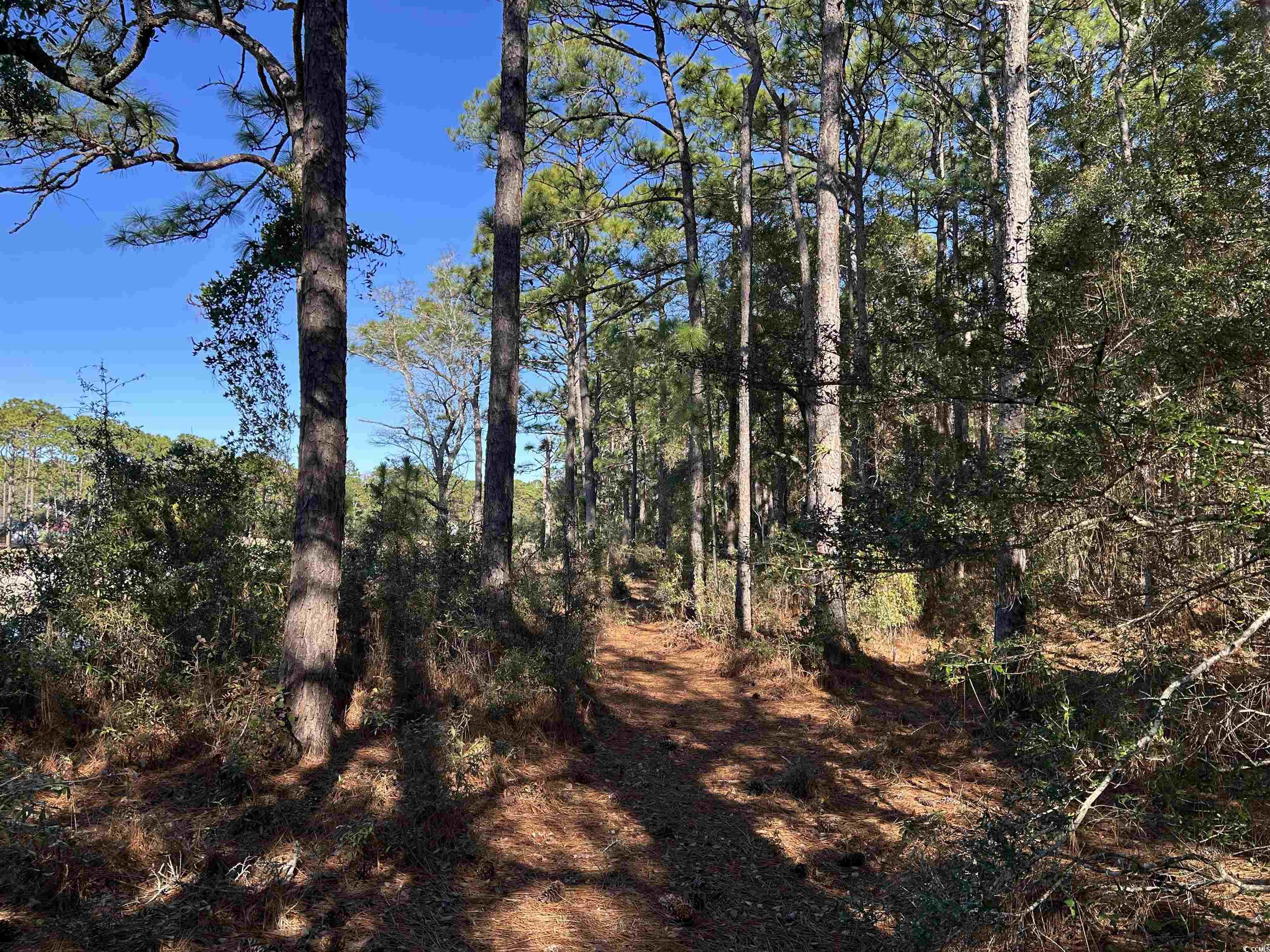 8000 Ocean Highway Property Photo 35