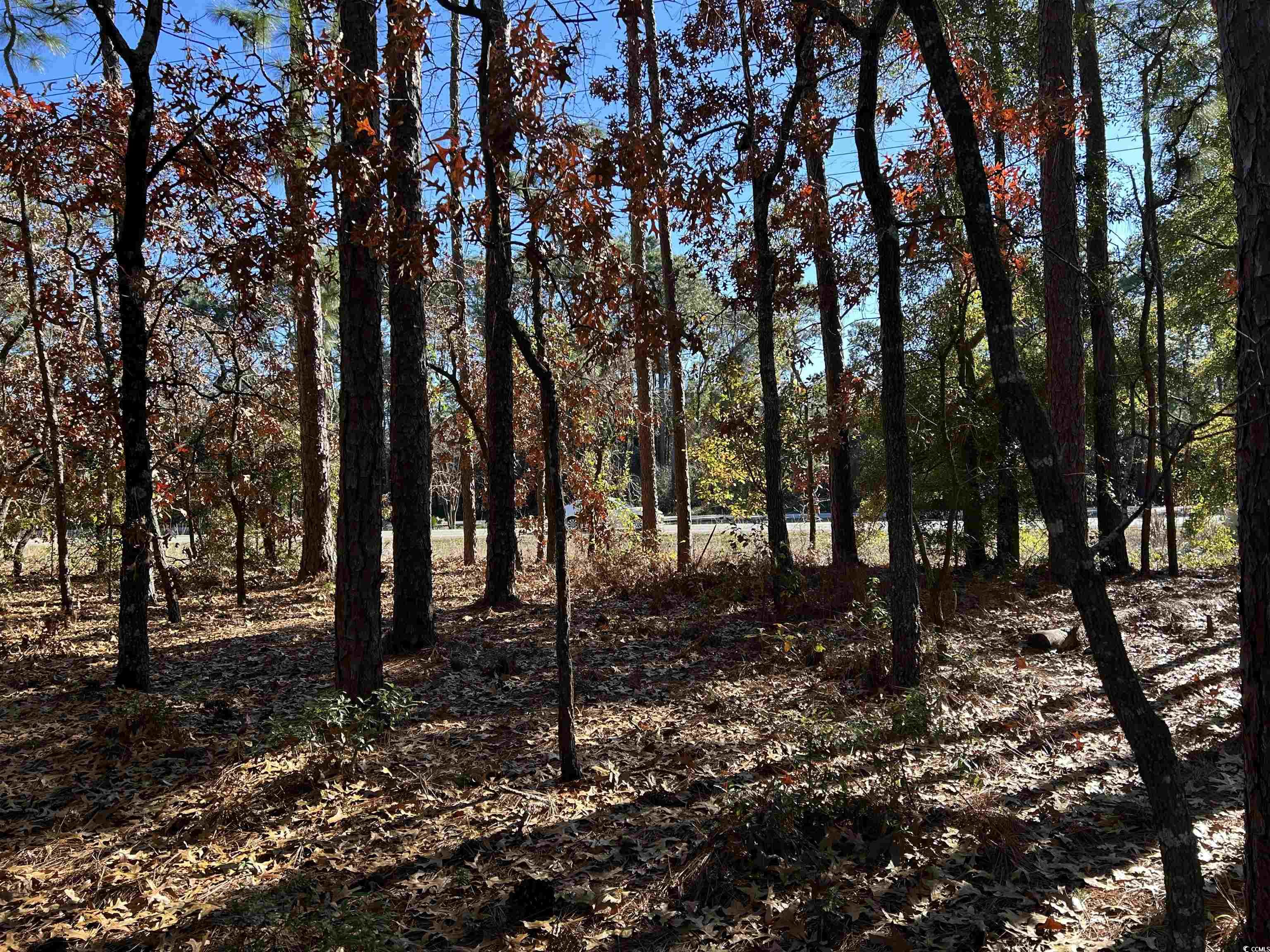 8000 Ocean Highway Property Photo 36