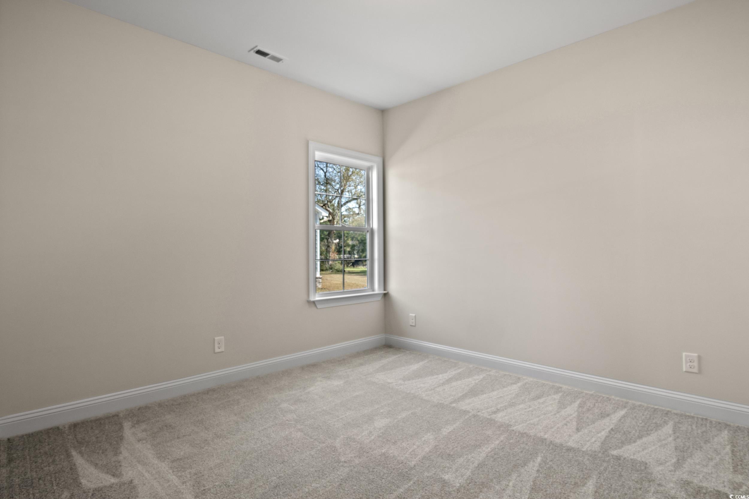 623 Carter Reid Ct. Property Photo 17