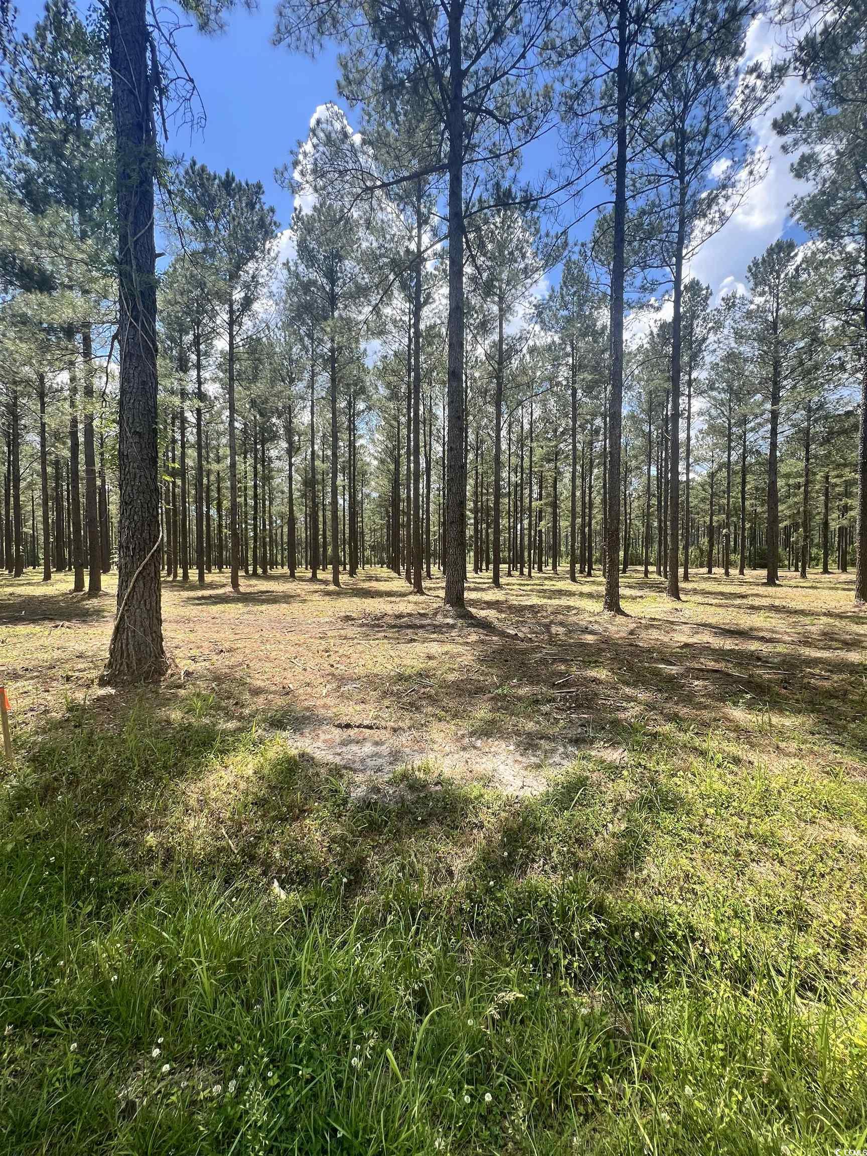 Lot 3 Ashley Circle Property Photo 1