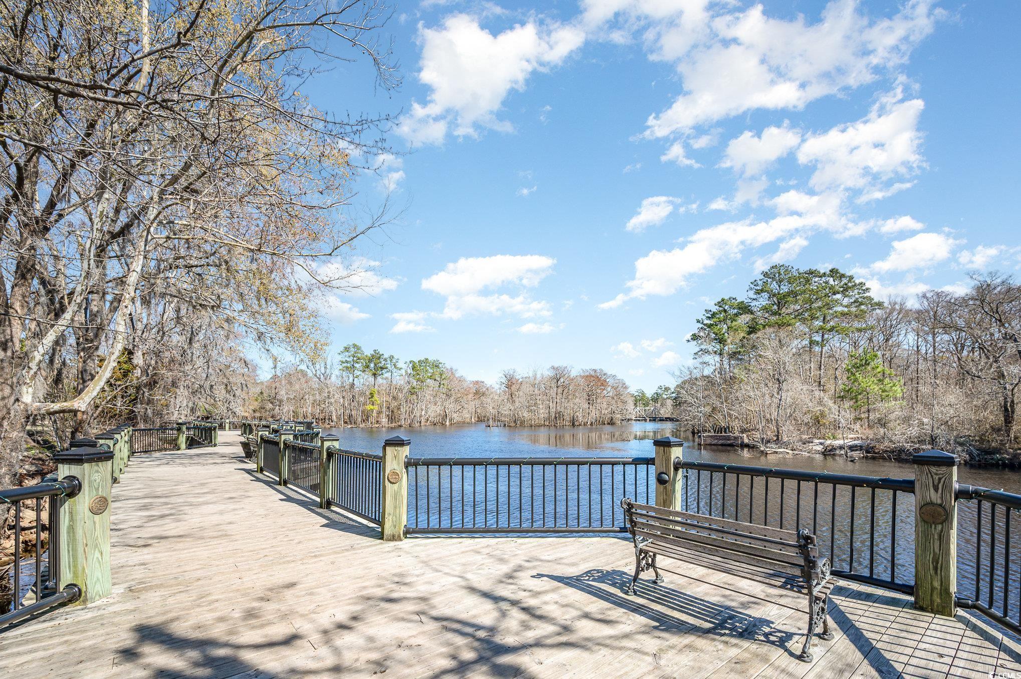 1118 Cypress Shoal Dr. Property Photo 21