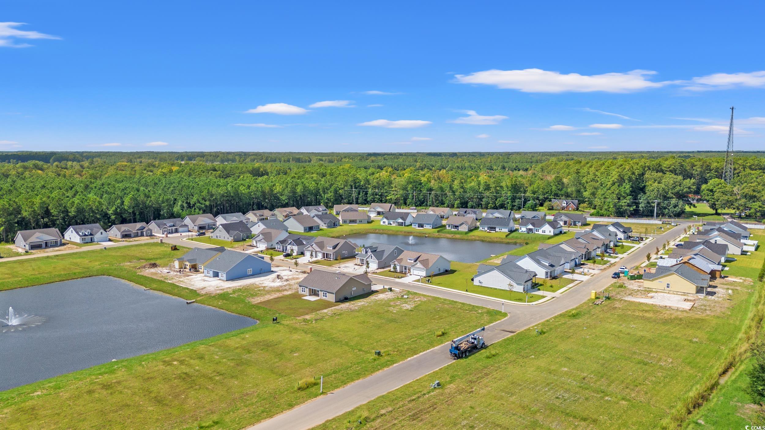 1118 Cypress Shoal Dr. Property Photo 35