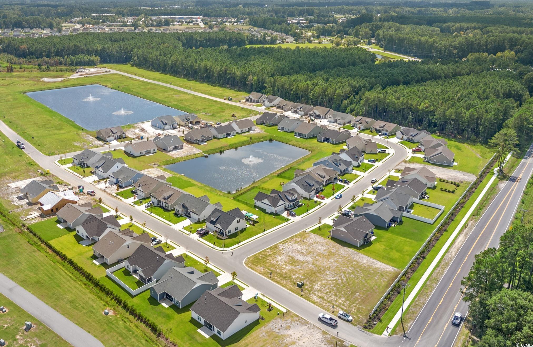 1118 Cypress Shoal Dr. Property Photo 37