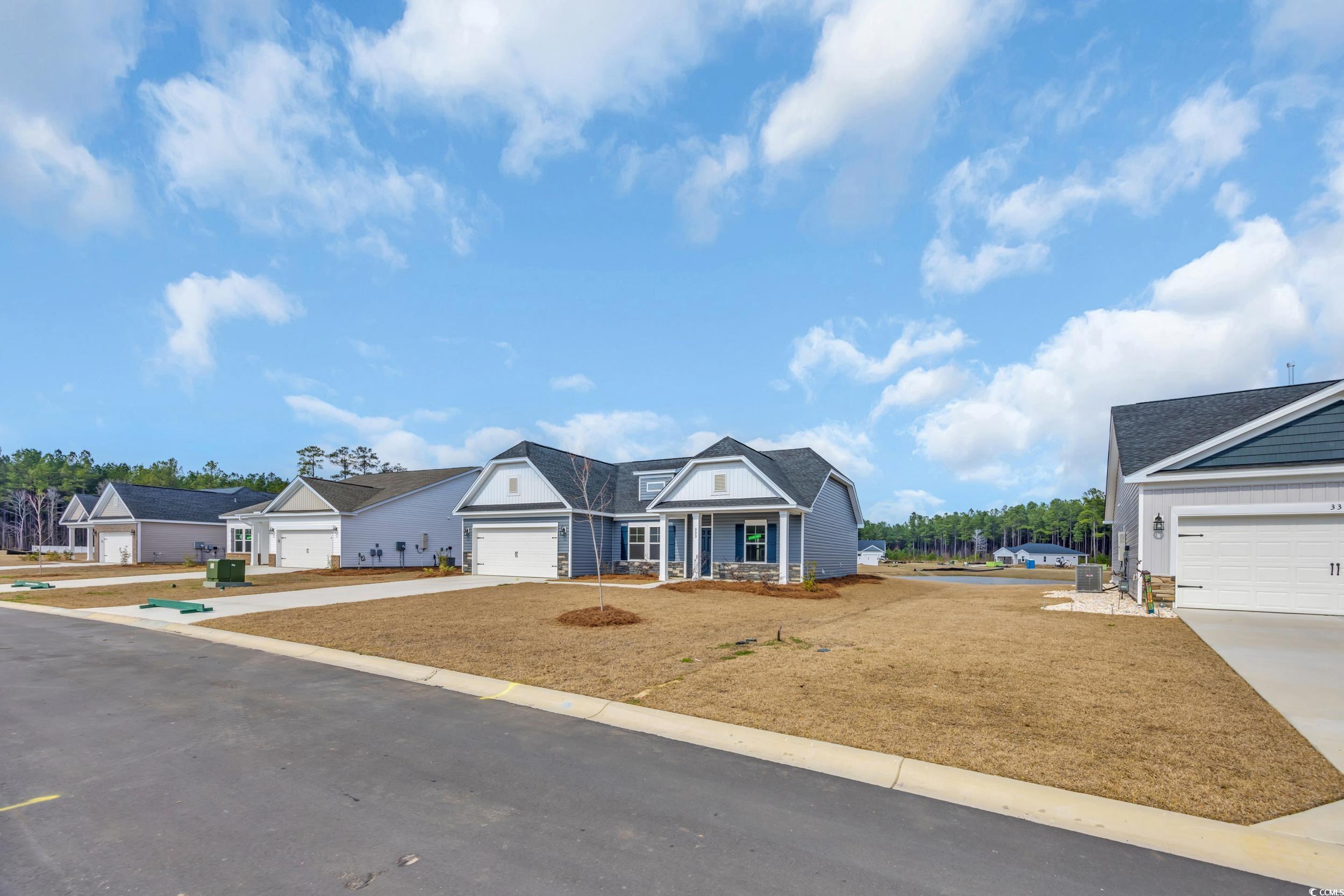 333 Palmetto Sand Loop Property Photo 4