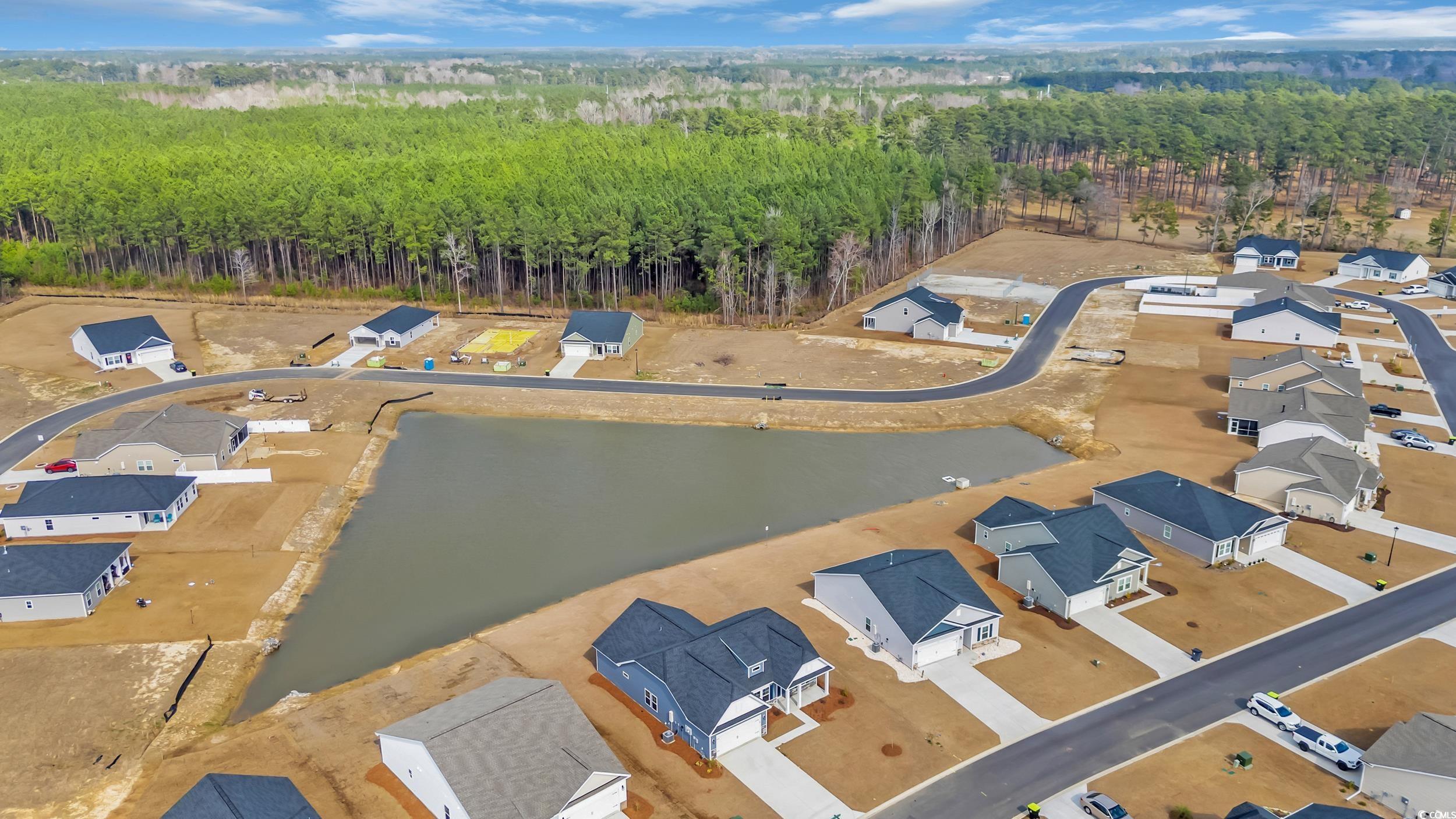 333 Palmetto Sand Loop Property Photo 38