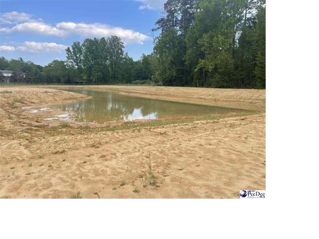 Tbd Devonshire Ln. Property Photo 1